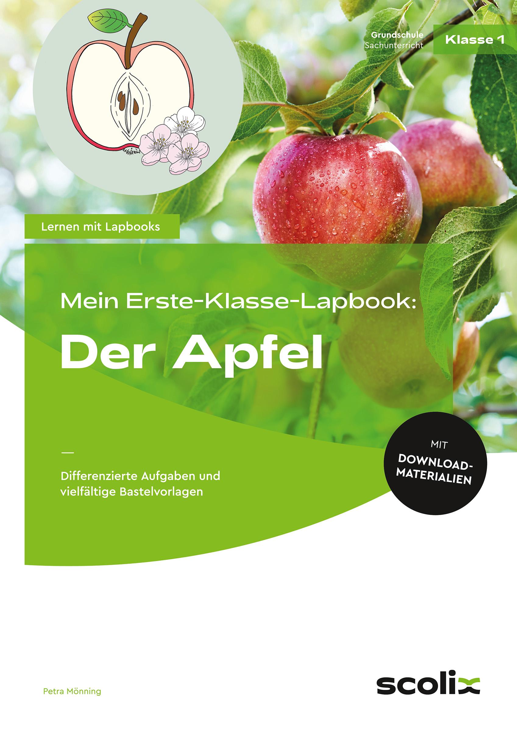 Vorderes Coverbild Mein Erste-Klasse-Lapbook: Der Apfel