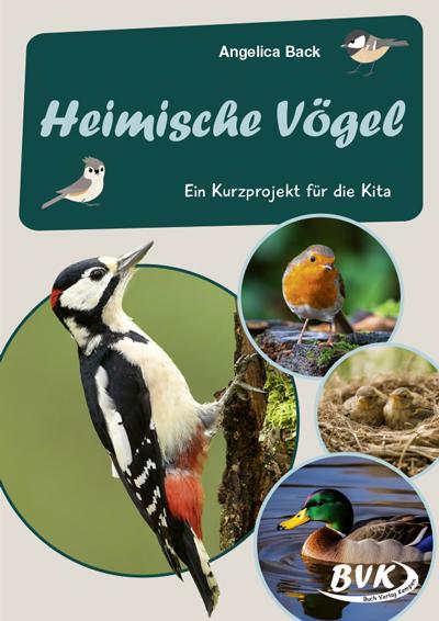 Vorderes Coverbild Heimische Vögel -