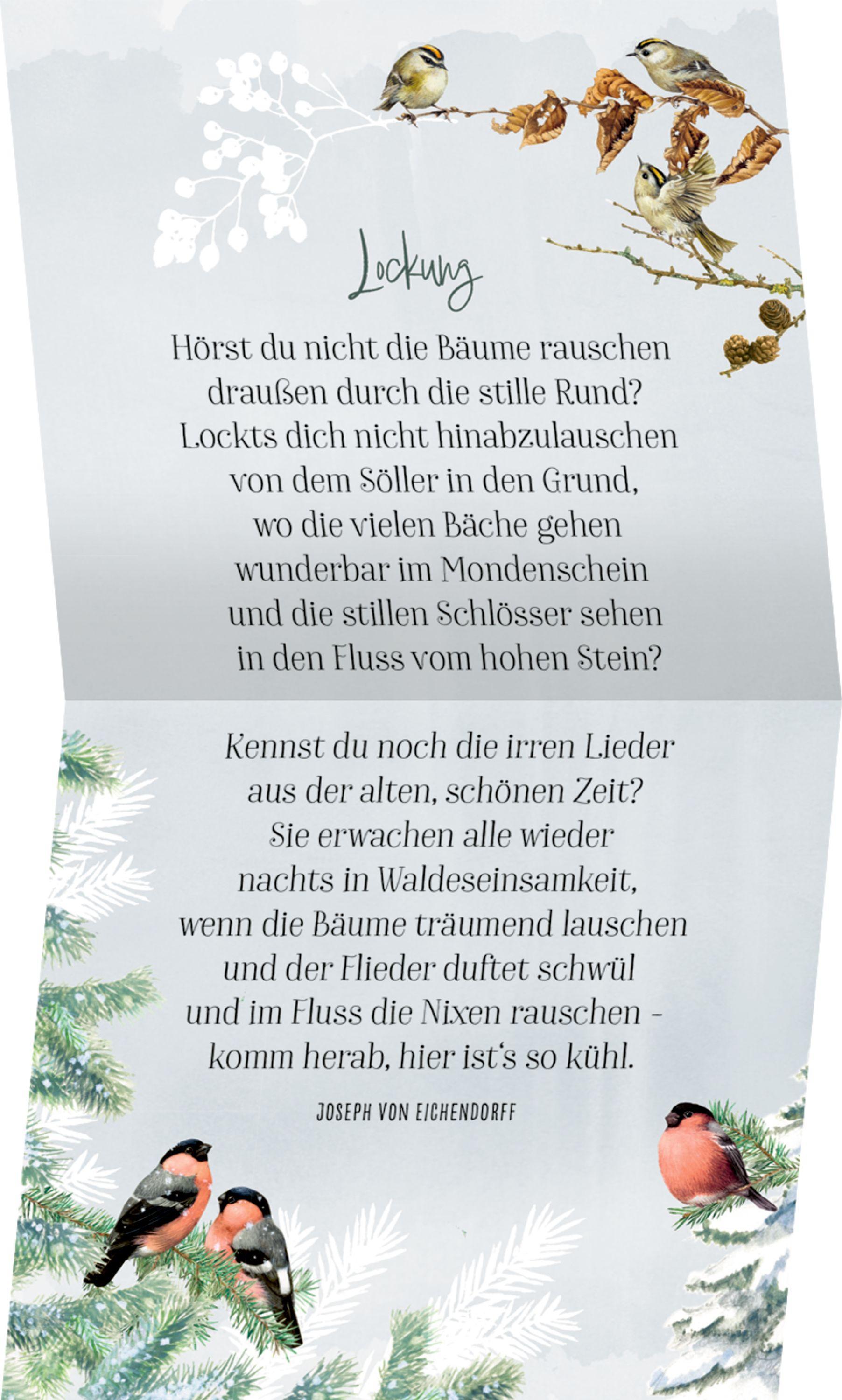 Beispielinhalt (Bild) Coffee-Table-Adventskalender - Zauberhafte Weihnachtszeit