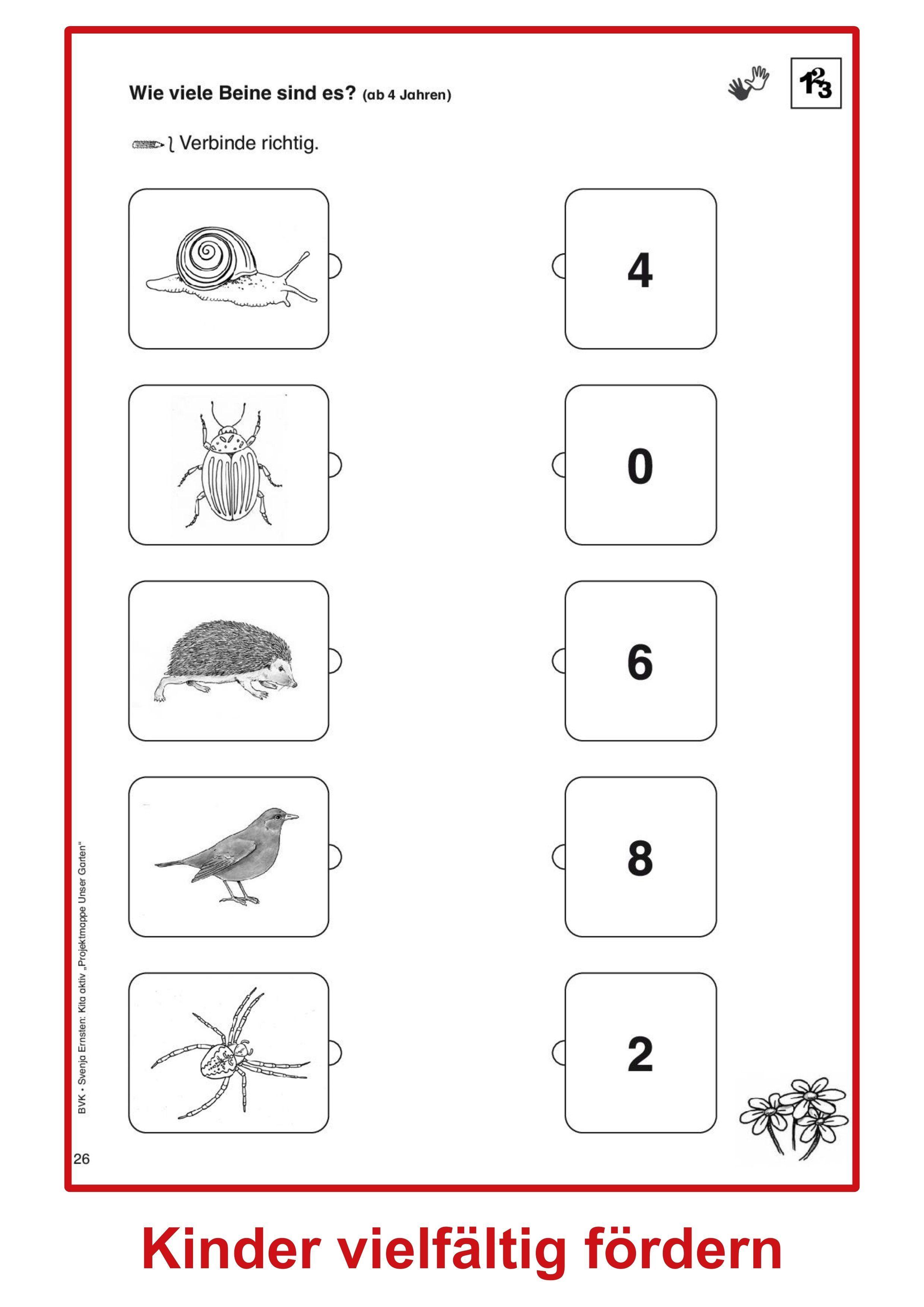 Beispielinhalt (Bild) Kita aktiv Projektmappe Unser Garten