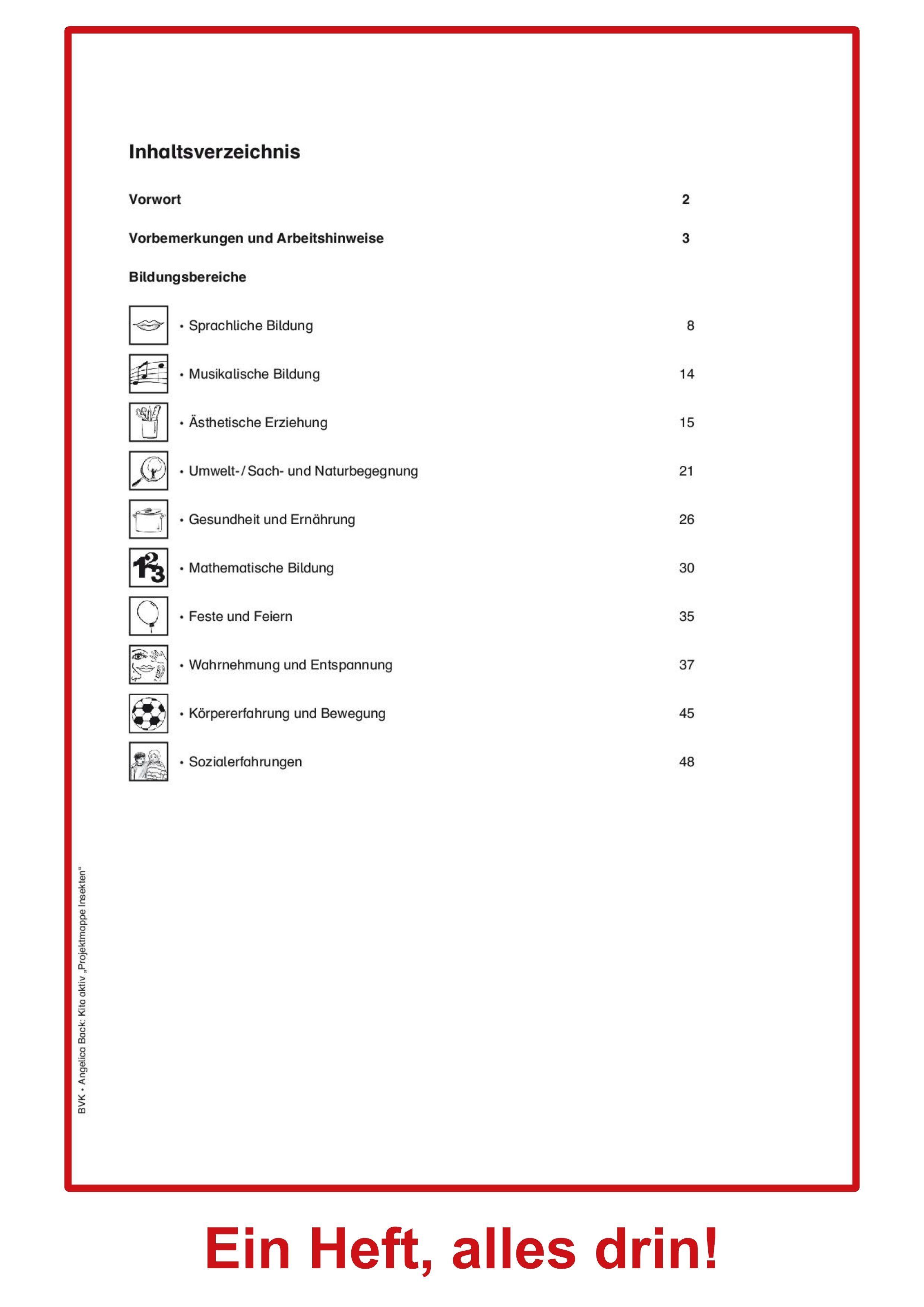 Beispielinhalt (Bild) Kita aktiv Projektmappe Insekten