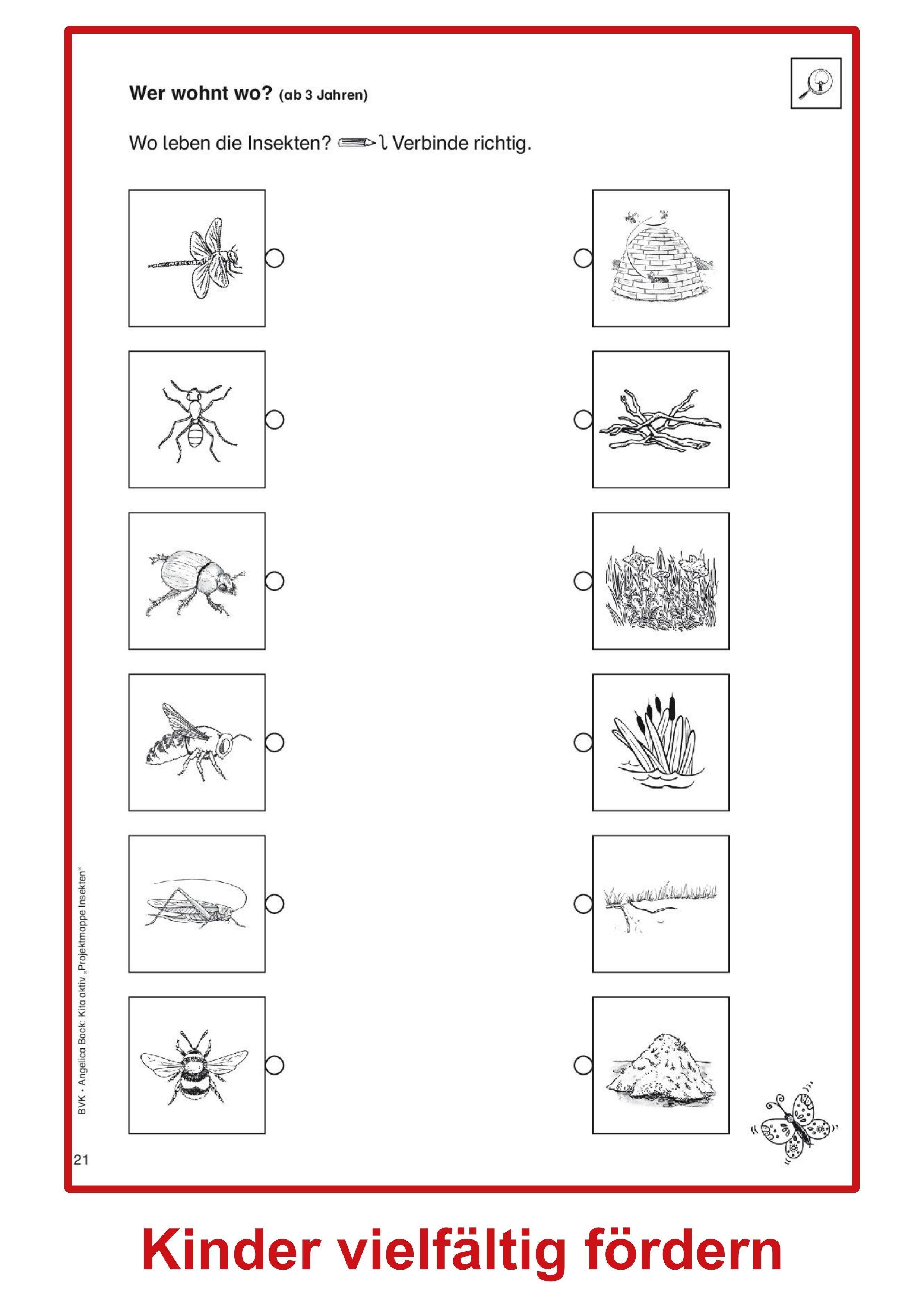 Beispielinhalt (Bild) Kita aktiv Projektmappe Insekten