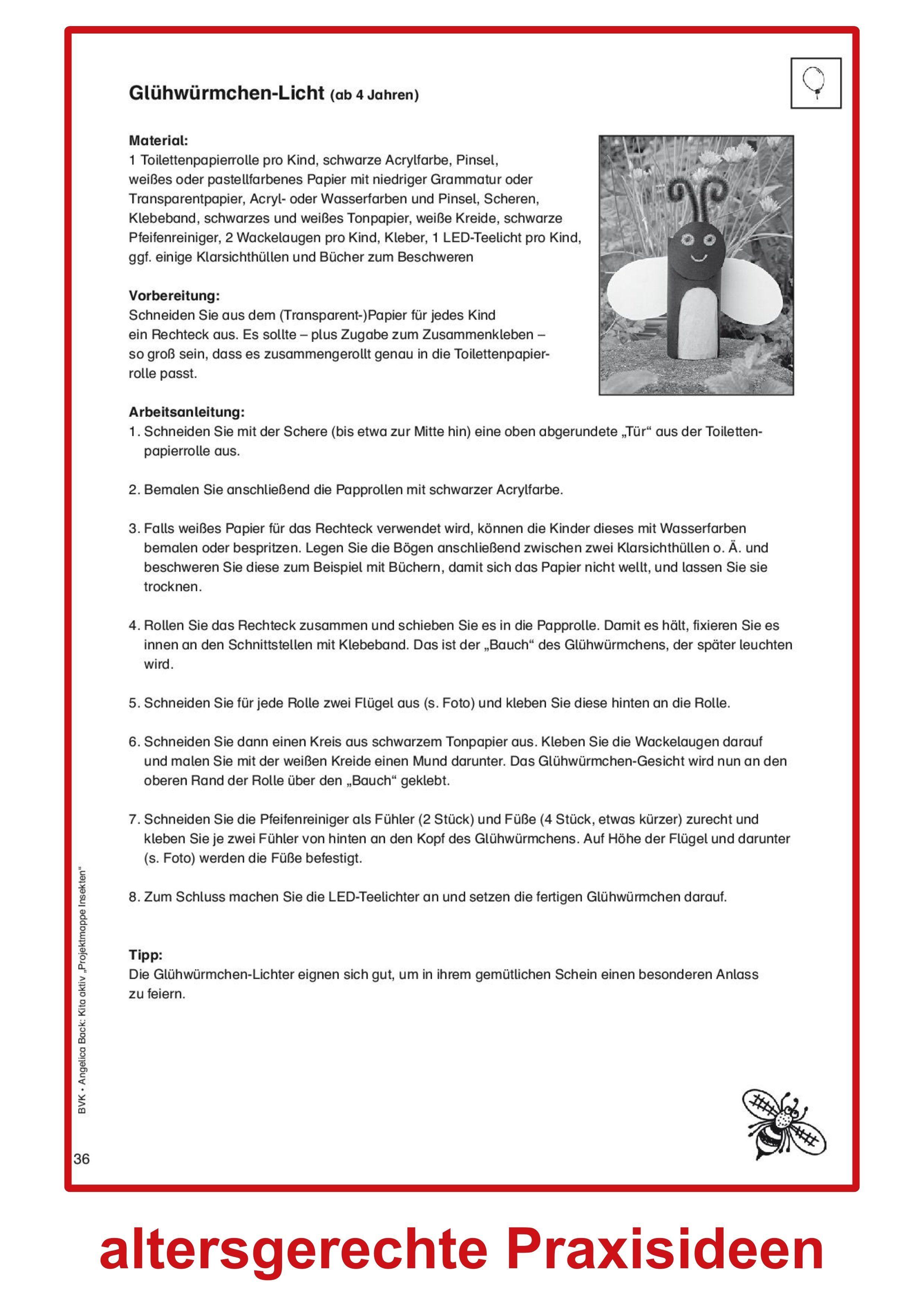 Beispielinhalt (Bild) Kita aktiv Projektmappe Insekten