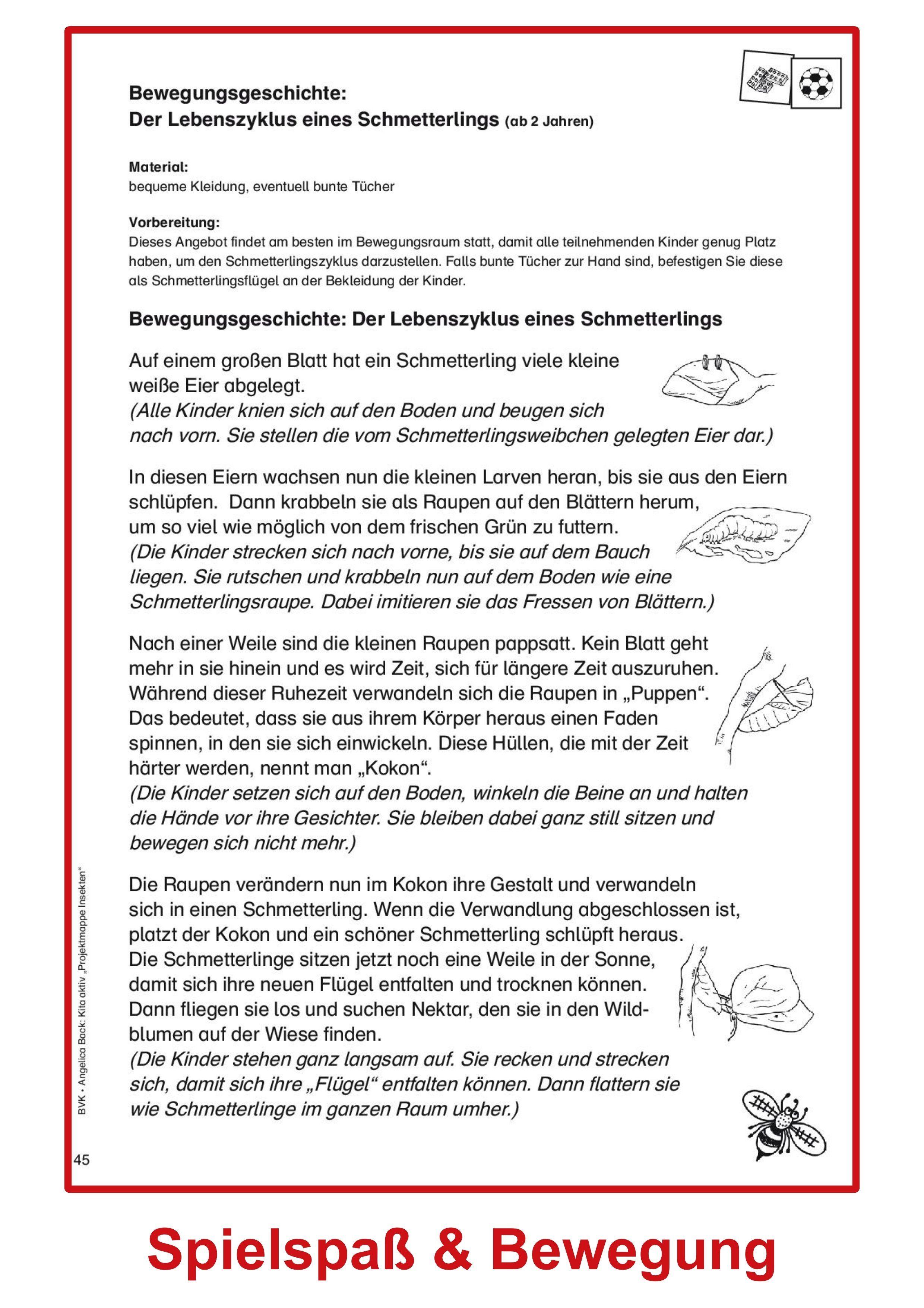 Beispielinhalt (Bild) Kita aktiv Projektmappe Insekten