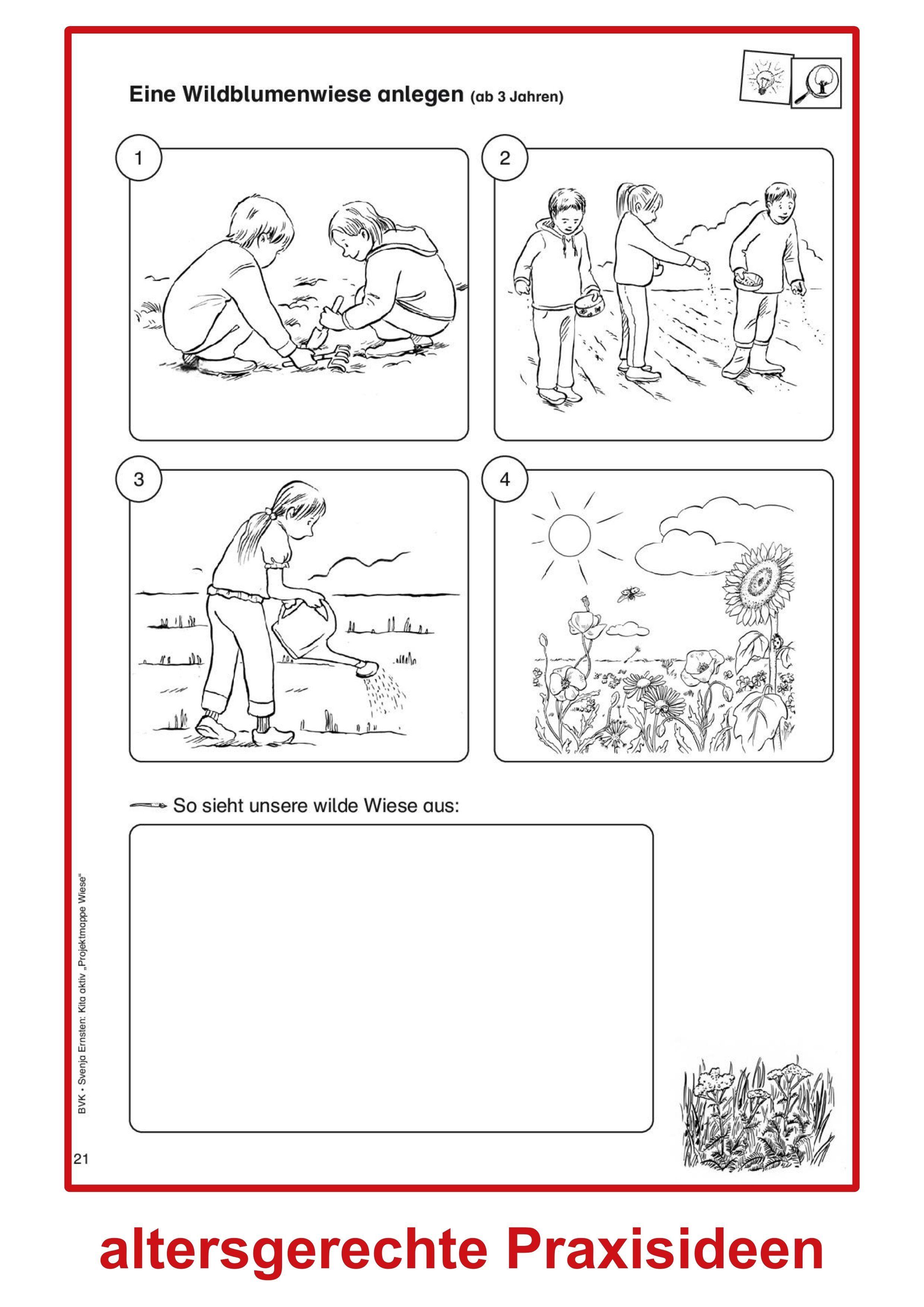 Beispielinhalt (Bild) Kita aktiv Projektmappe Wiese