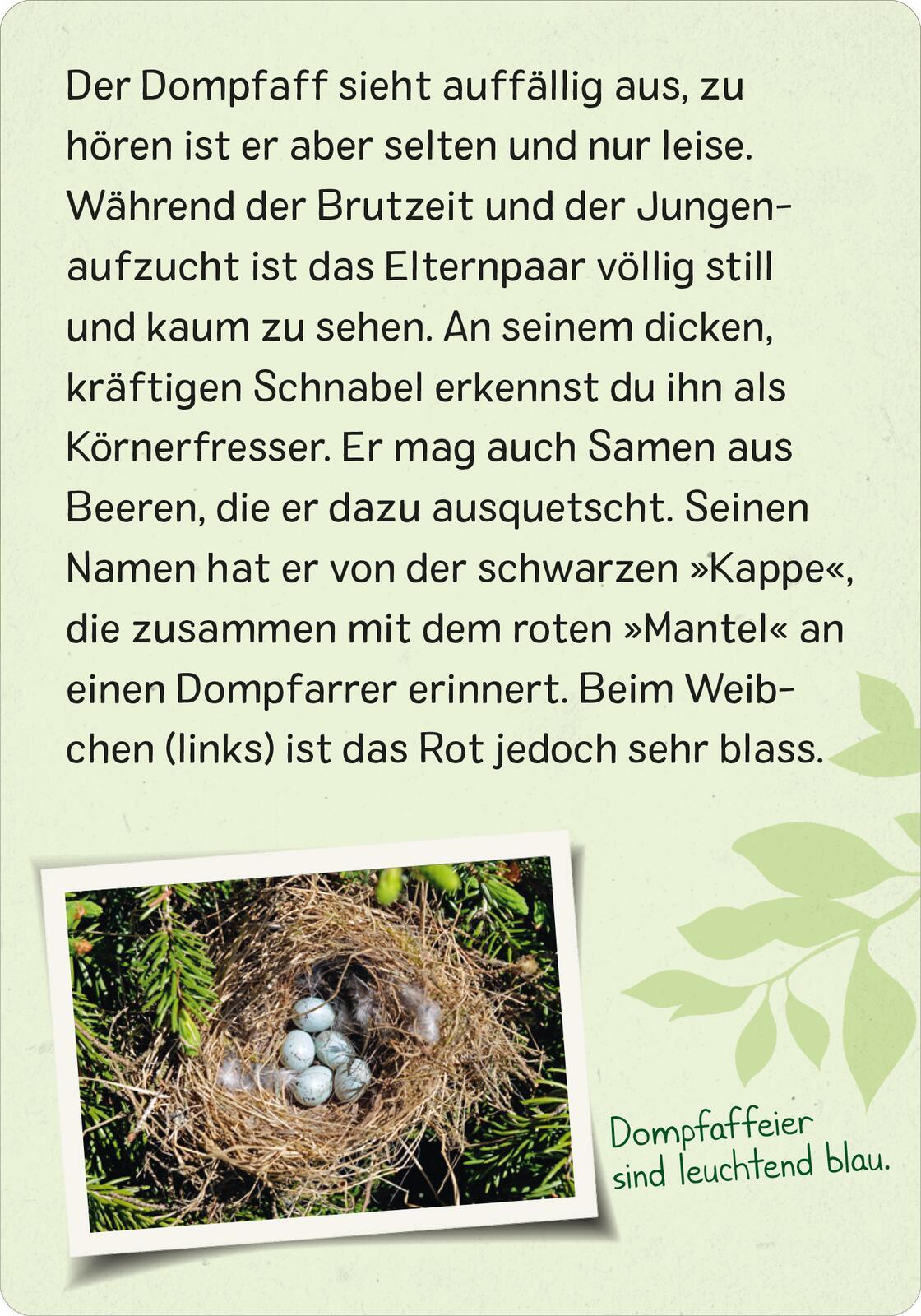 Beispielinhalt (Bild) Naturforscher-Kids - Vögel