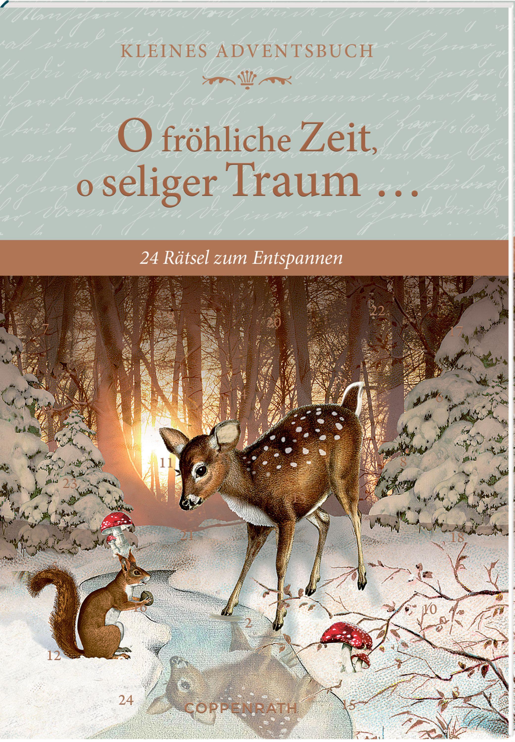 Vorderes Coverbild Adventskalenderbuch - O fröhliche Zeit, o seliger Traum ...