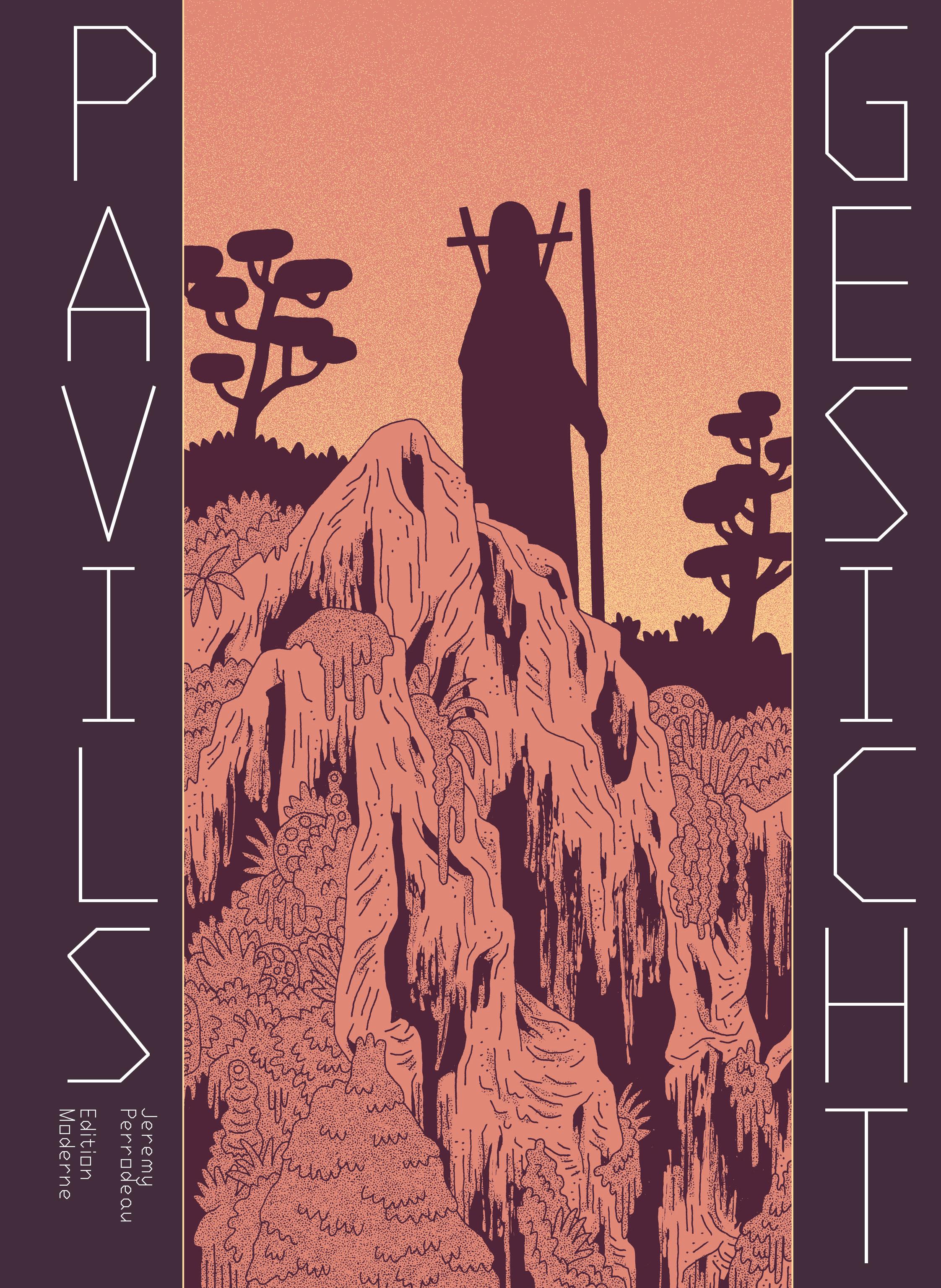 Vorderes Coverbild Pavils Gesicht