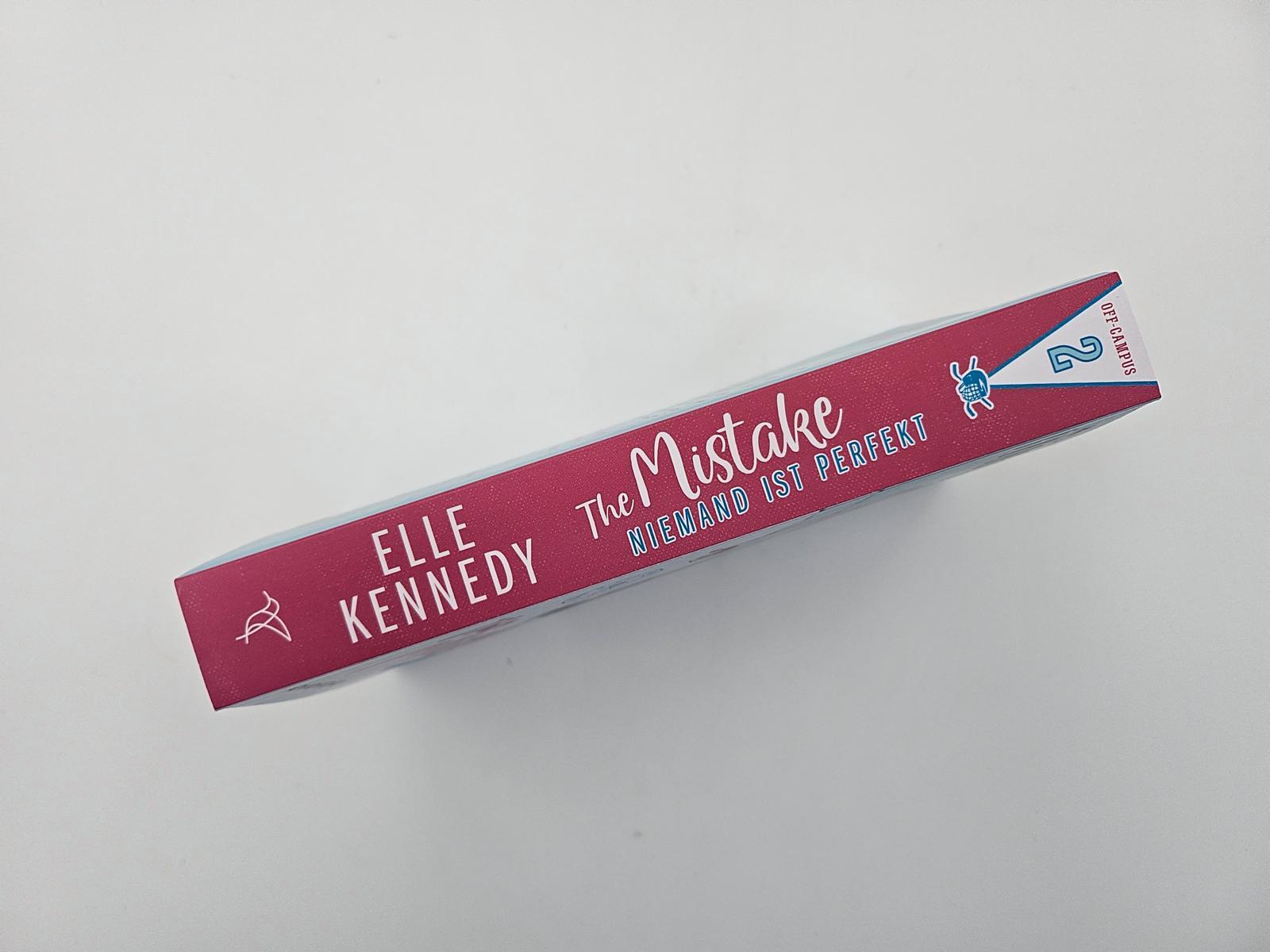 Beispielinhalt (Bild) The Mistake - Niemand ist perfekt