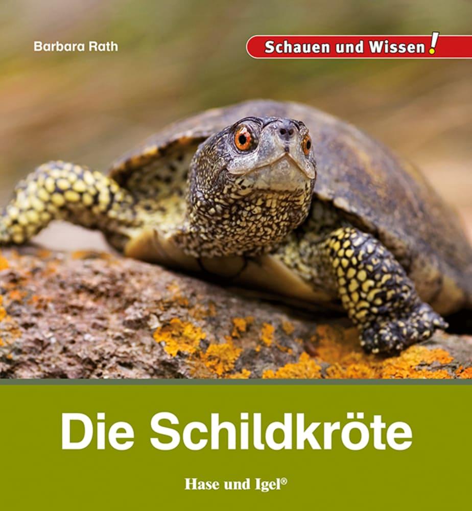 Vorderes Coverbild Die Schildkröte