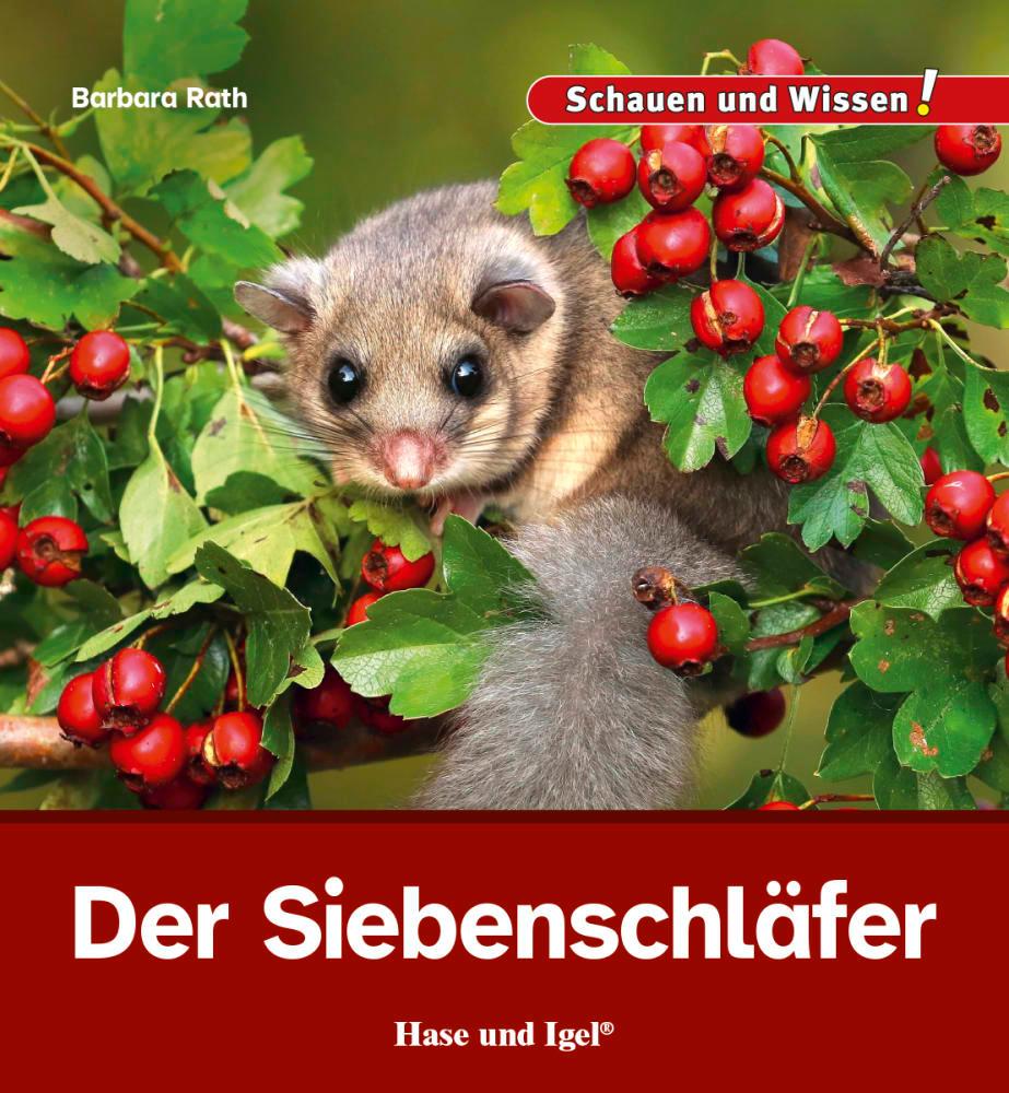 Vorderes Coverbild Der Siebenschläfer