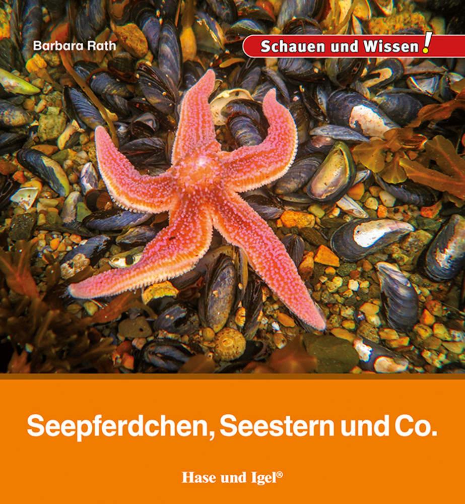 Vorderes Coverbild Seepferdchen, Seestern und Co.