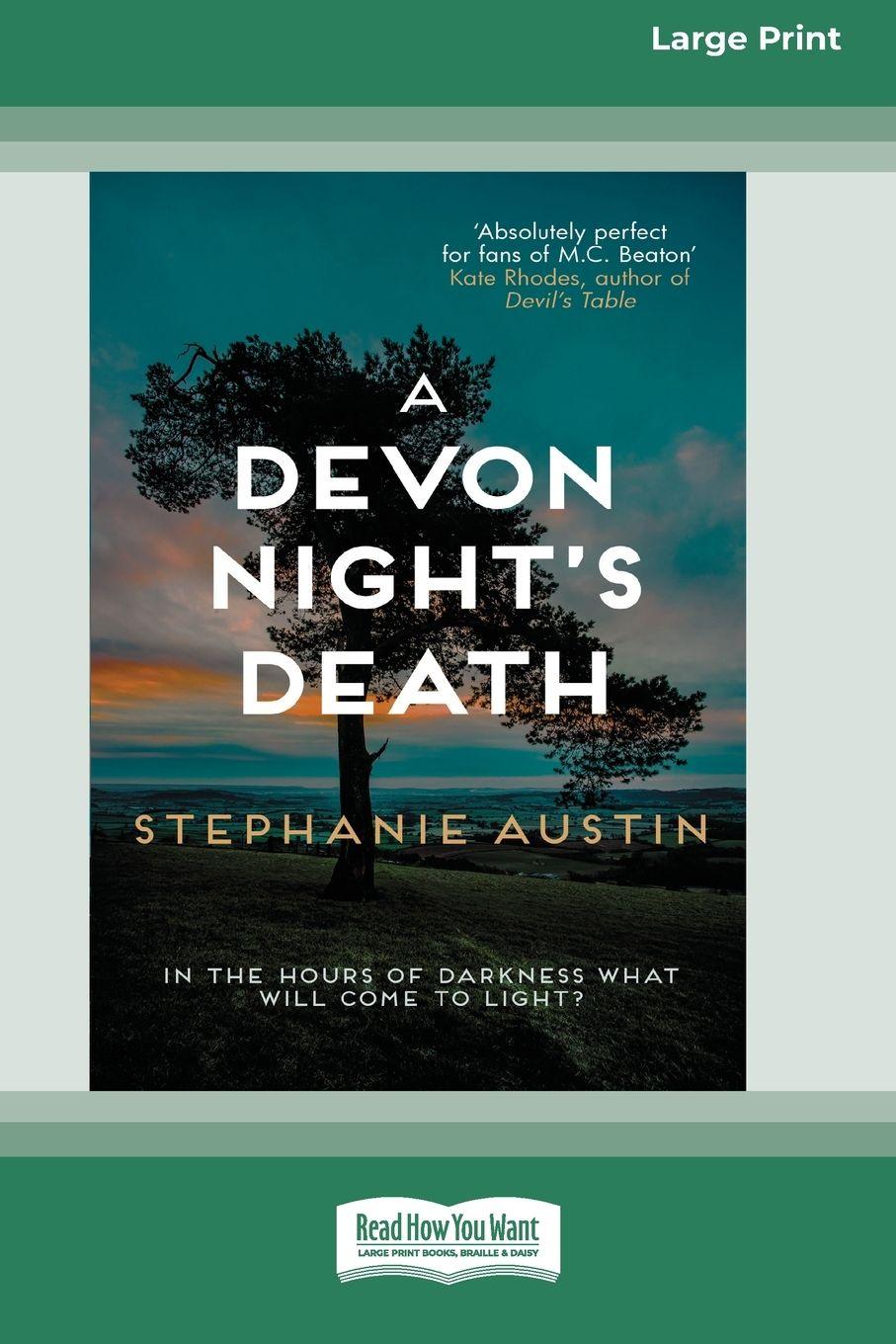 Vorderes Coverbild A Devon Night's Death [Standard Large Print]