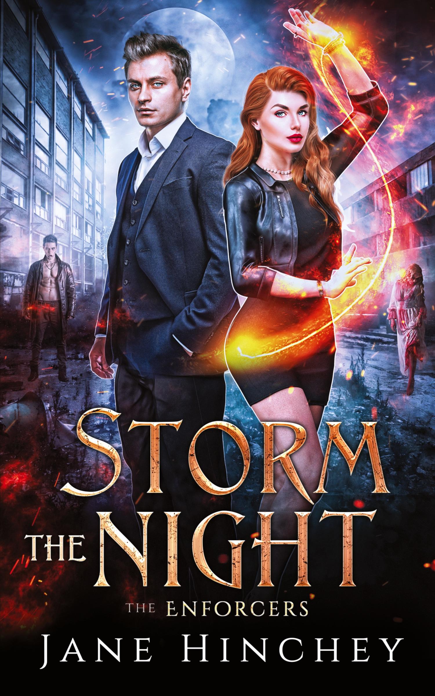 Vorderes Coverbild Storm the Night