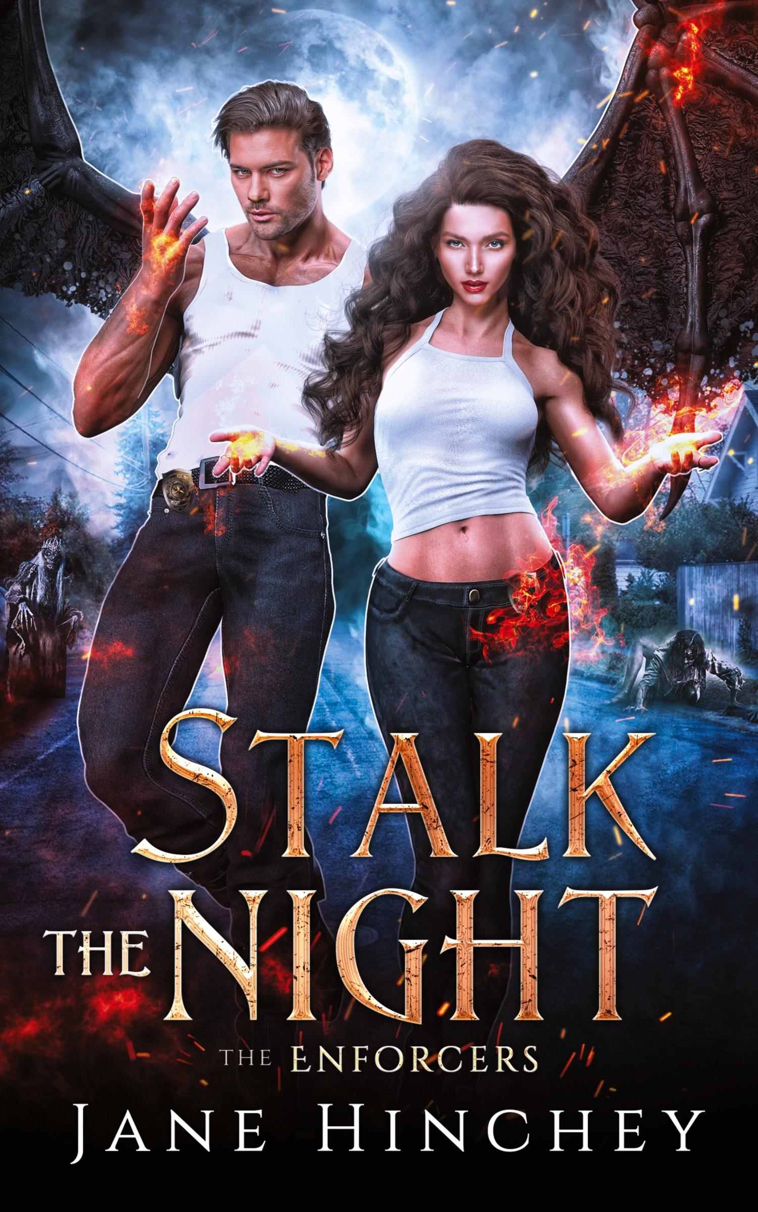 Vorderes Coverbild Stalk the Night