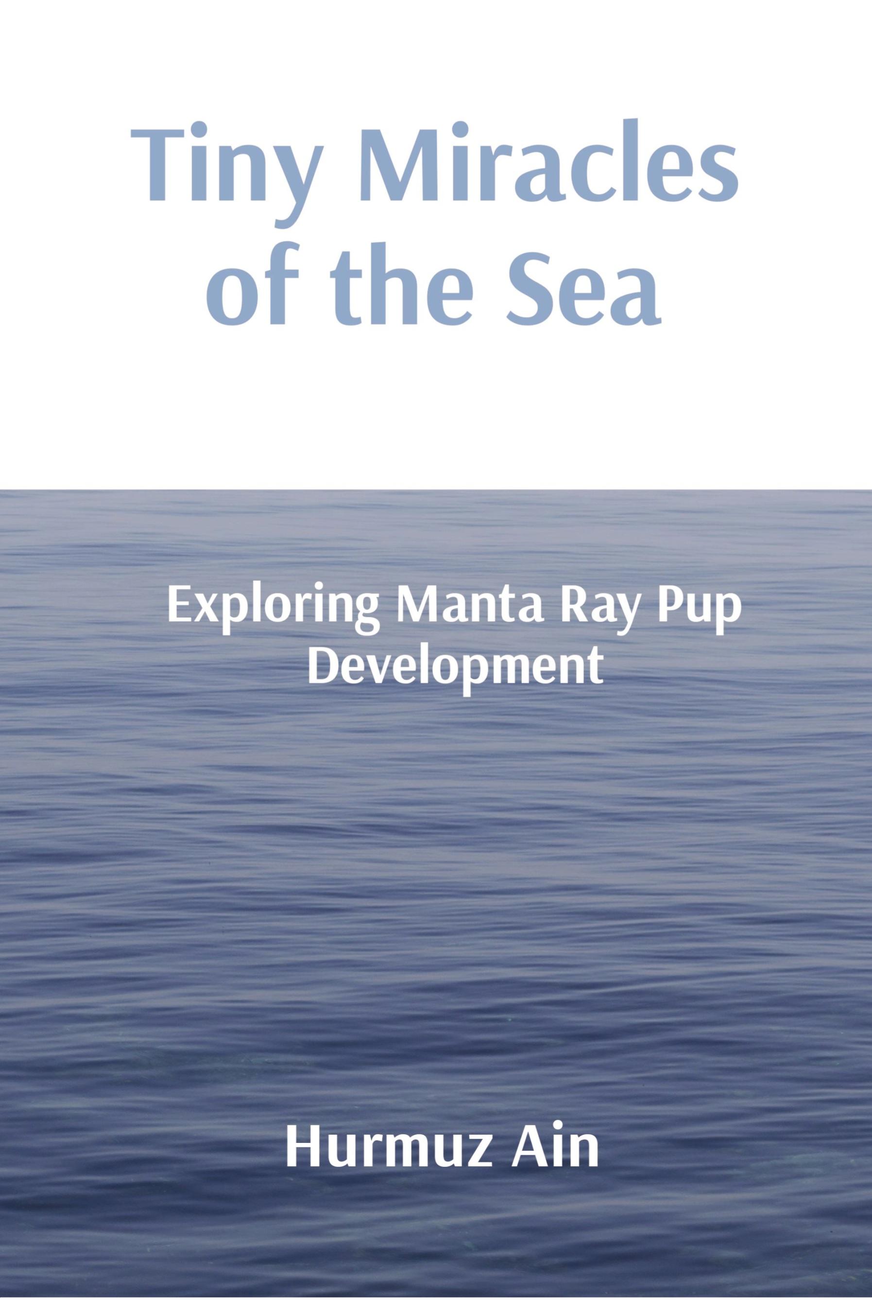 Vorderes Coverbild Tiny Miracles of the Sea