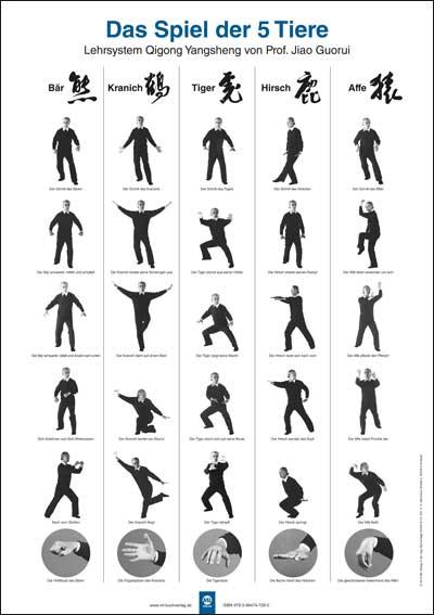 Vorderes Coverbild Poster - Das Spiel der 5 Tiere