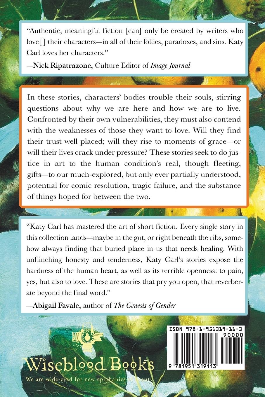 Rückseitencover Fragile Objects