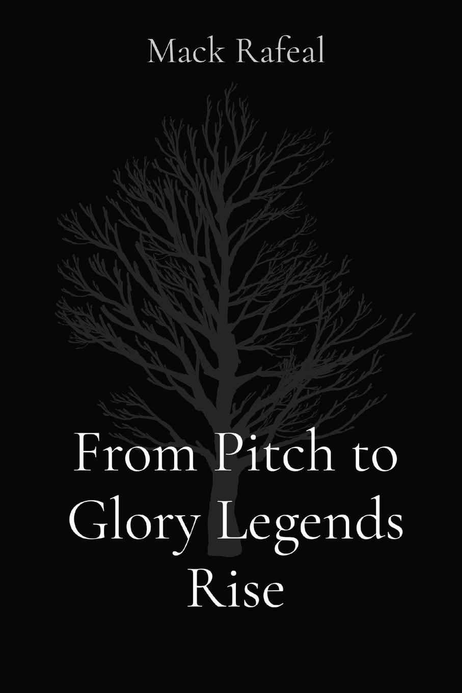 Vorderes Coverbild From Pitch to Glory Legends Rise