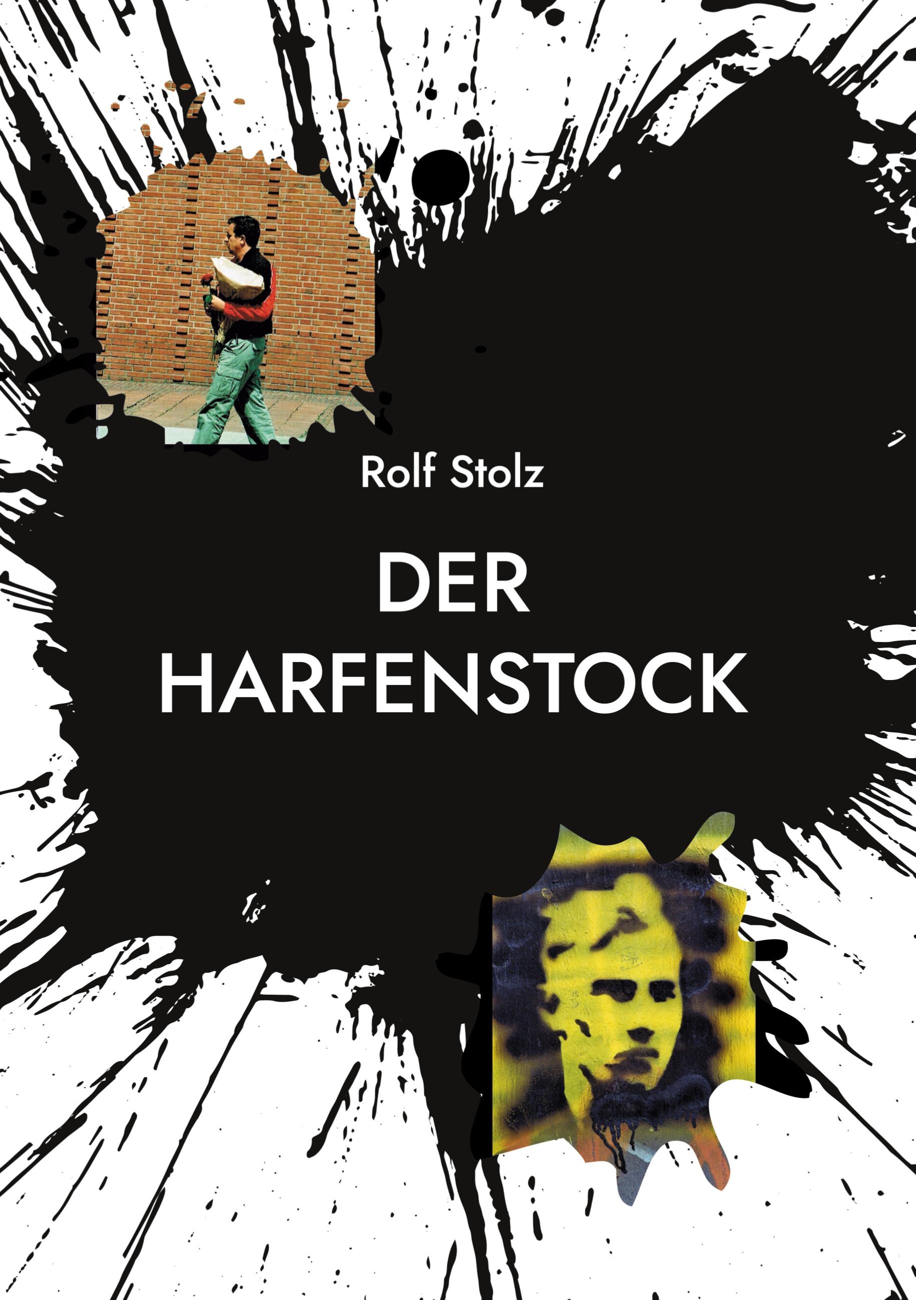 Vorderes Coverbild Der Harfenstock