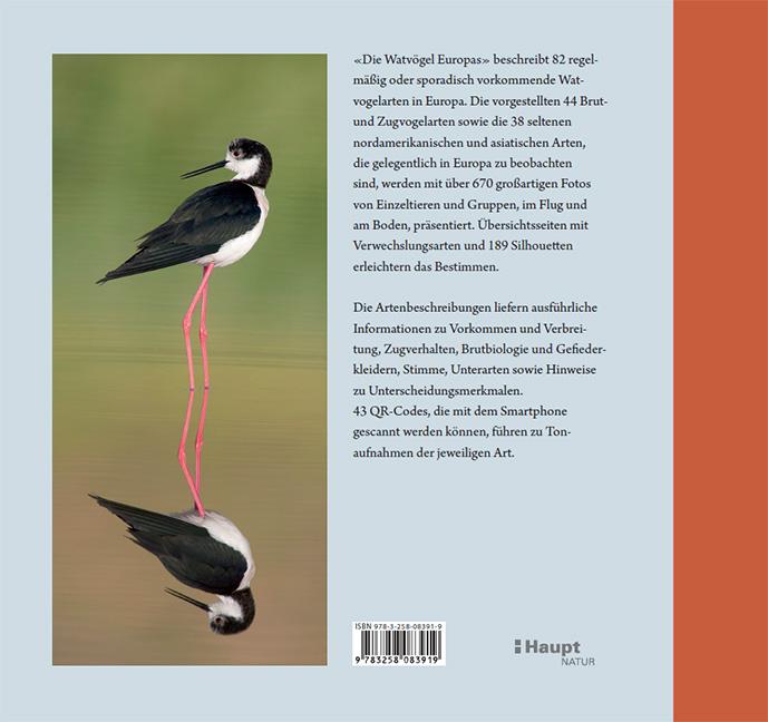 Rückseitencover Die Watvögel Europas