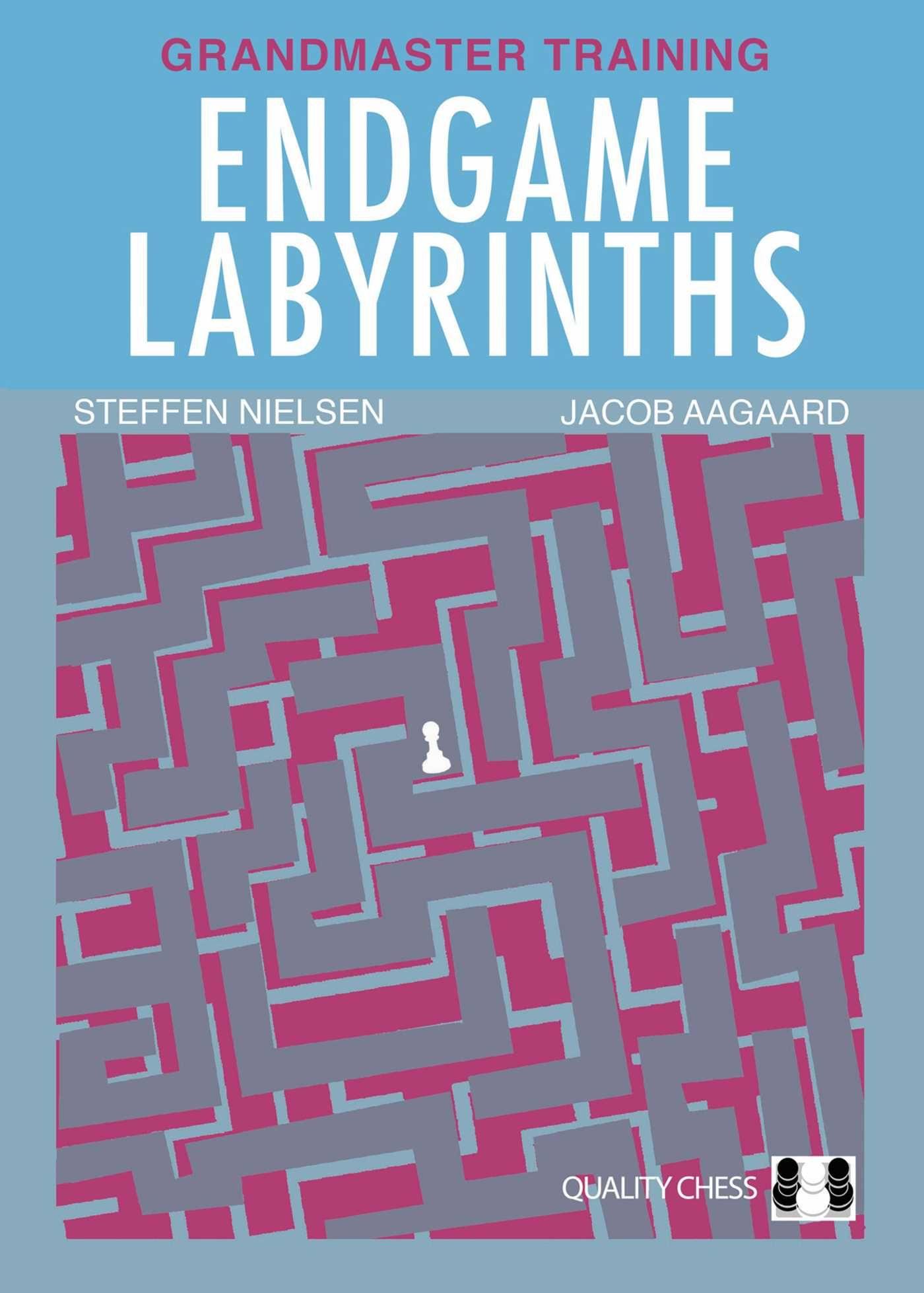 Vorderes Coverbild Endgame Labyrinths
