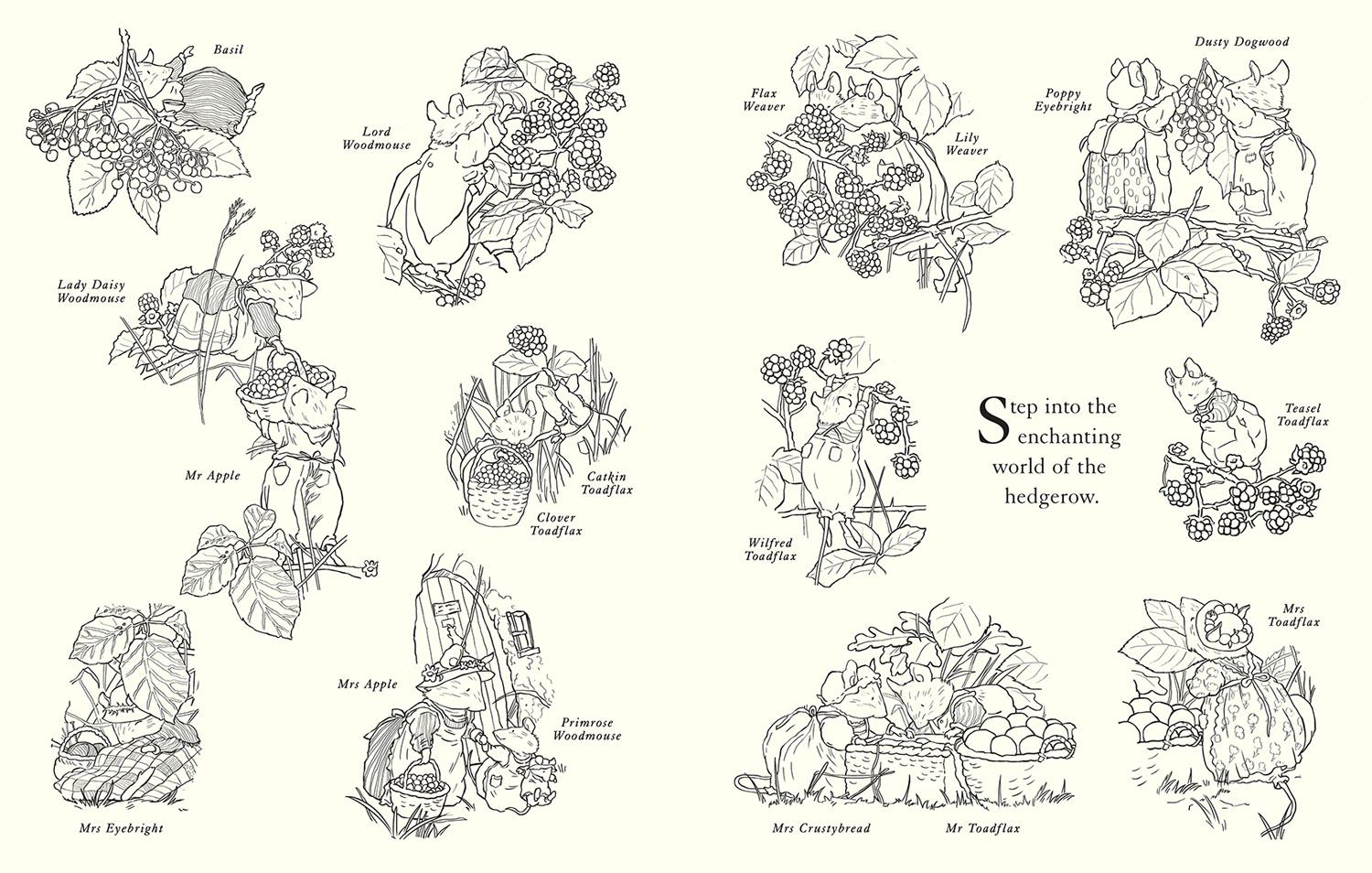 Beispielinhalt (Bild) Brambly Hedge: Festive Coloring Book