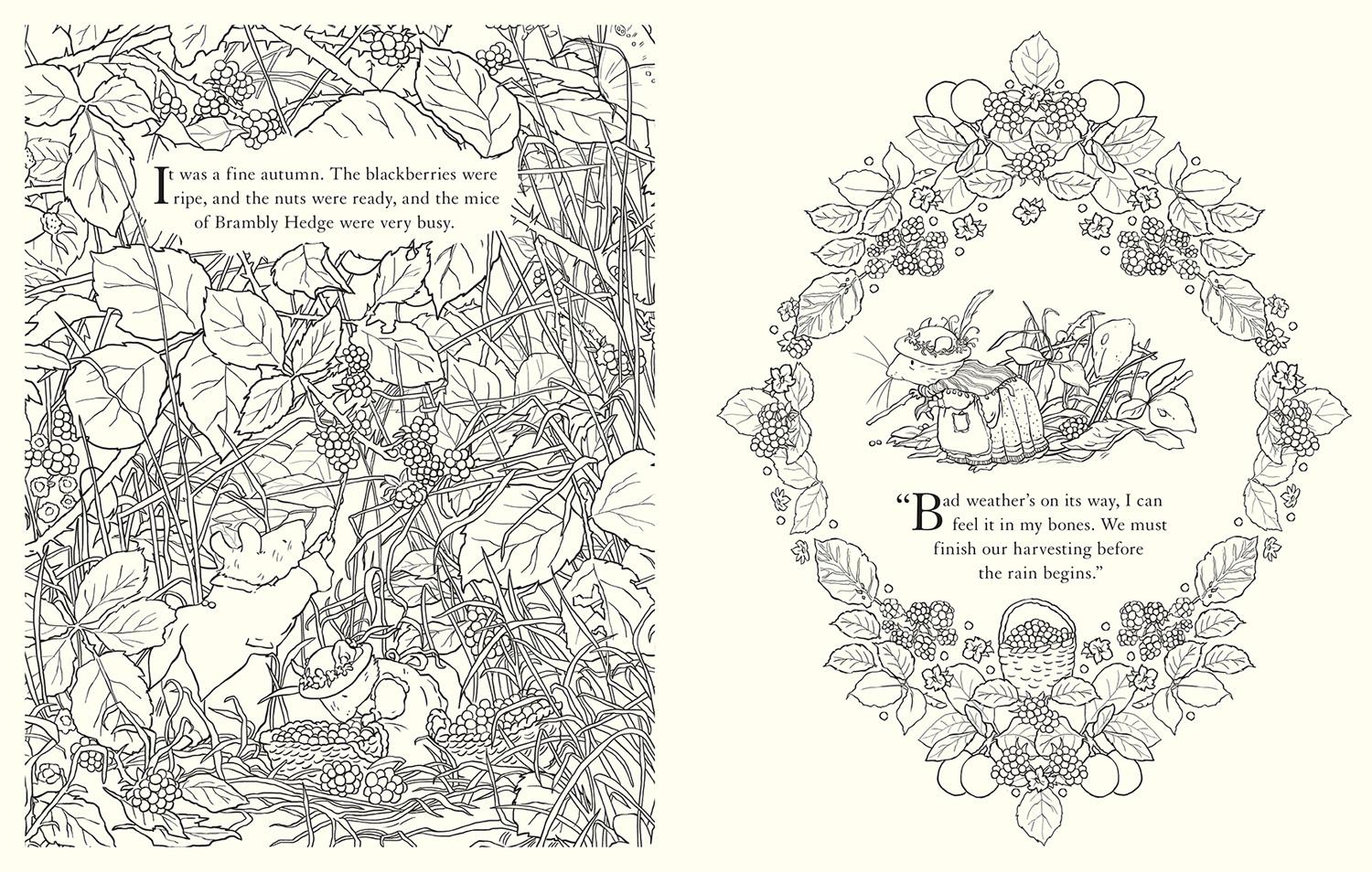 Beispielinhalt (Bild) Brambly Hedge: Festive Coloring Book