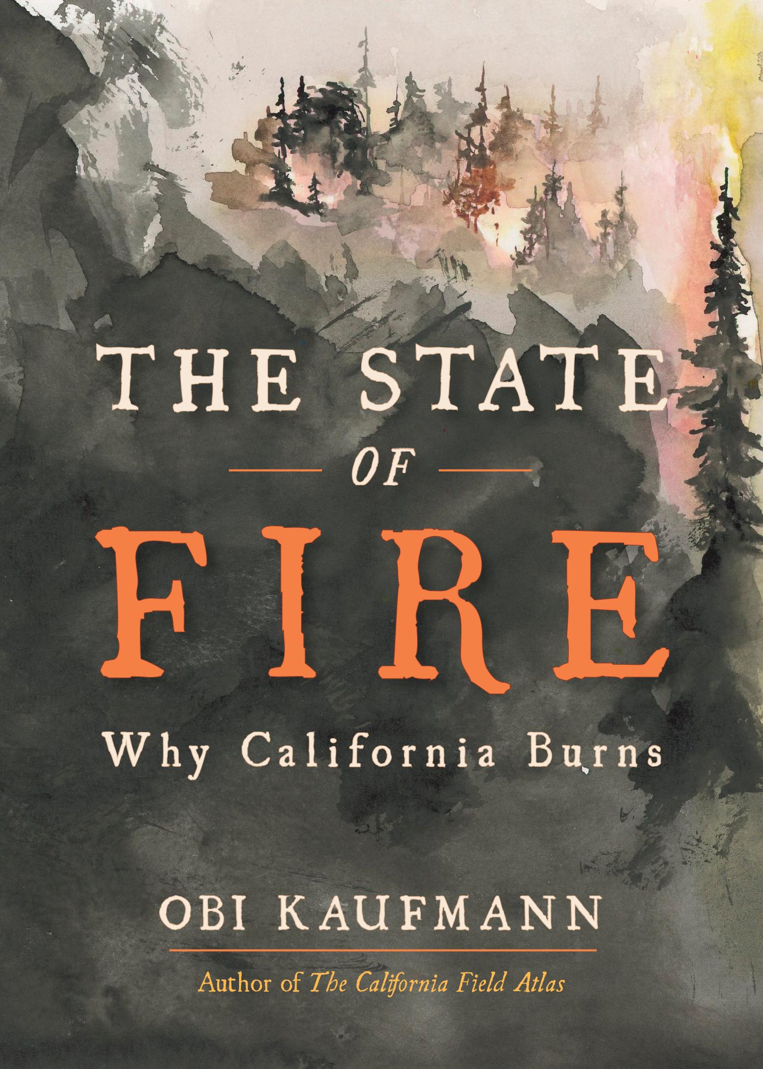 Vorderes Coverbild The State of Fire