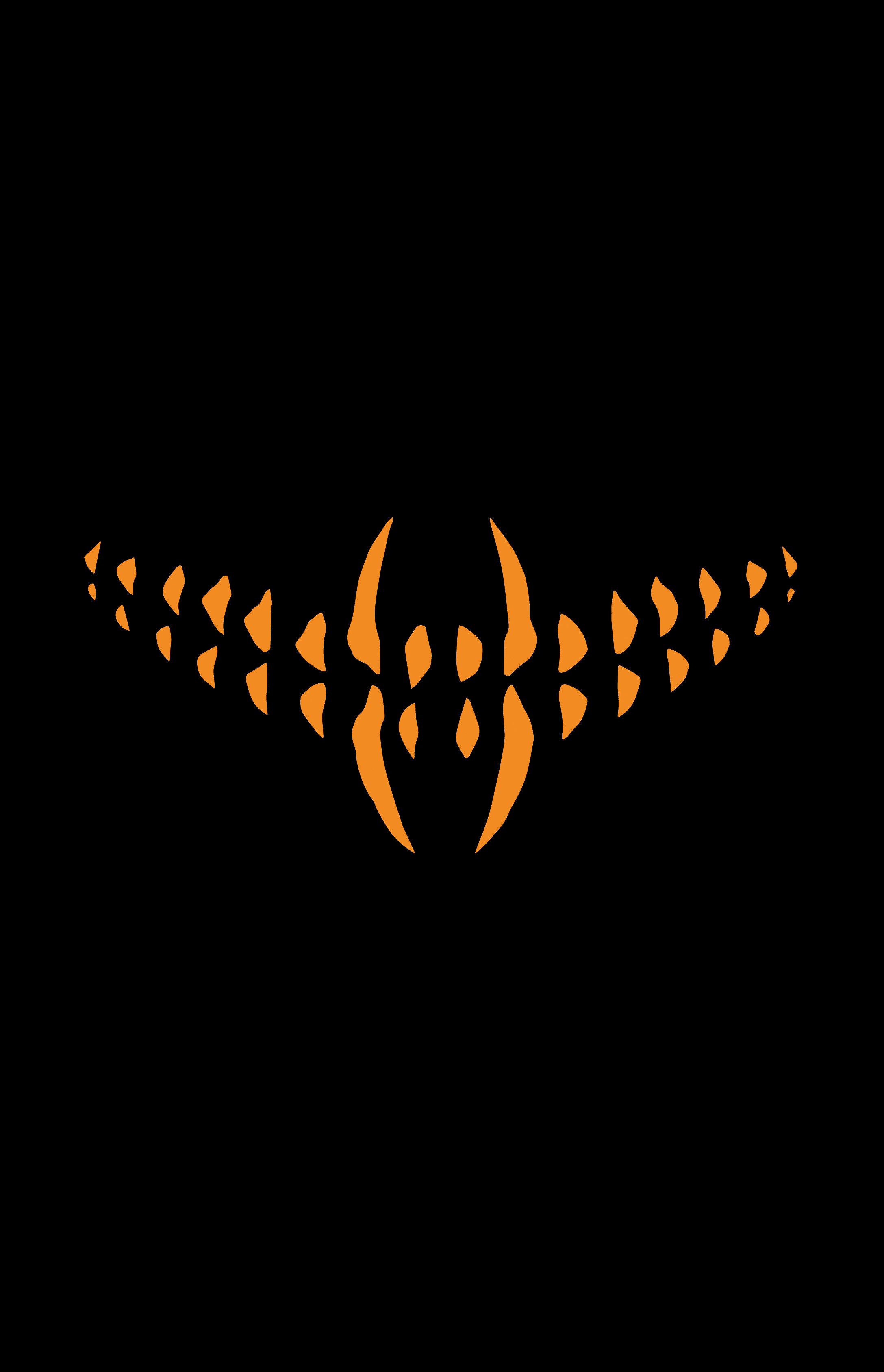 Vorderes Coverbild Something Is Killing the Children Book Two Deluxe Edition Slipcased Edition