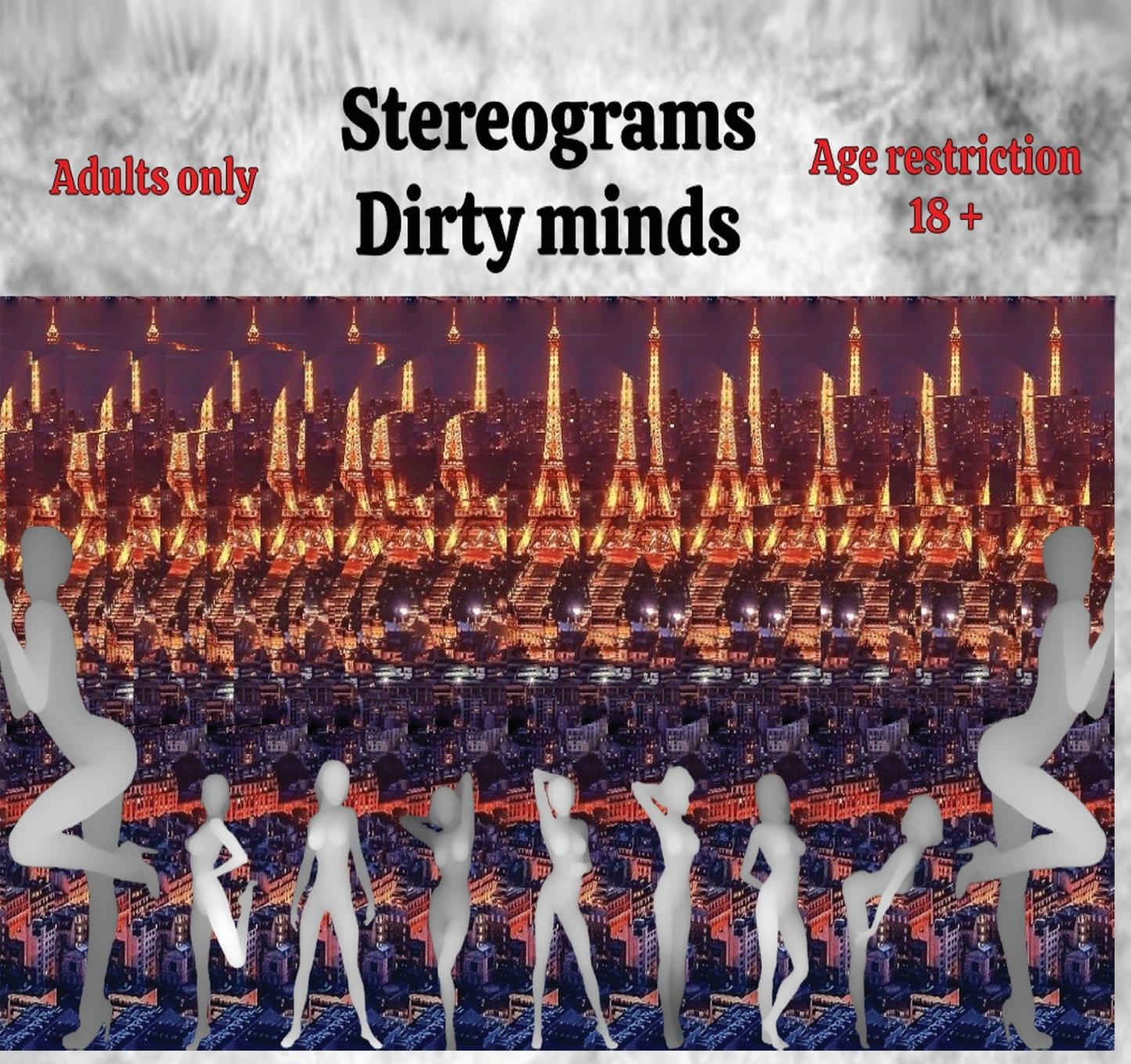 Vorderes Coverbild Stereograms