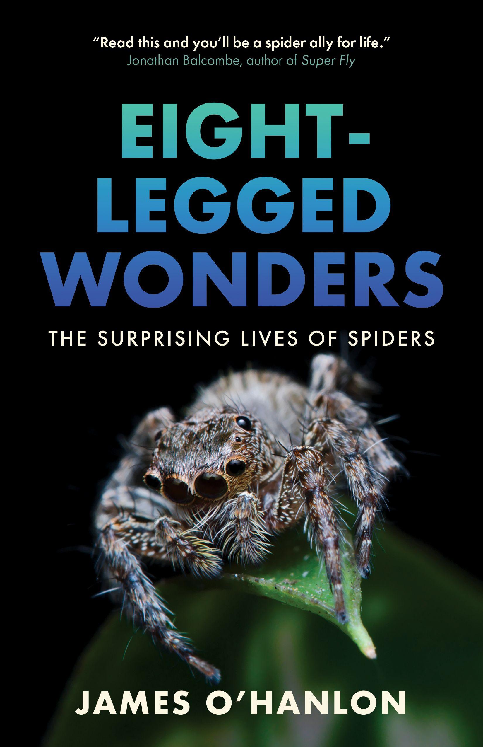 Vorderes Coverbild Eight-Legged Wonders