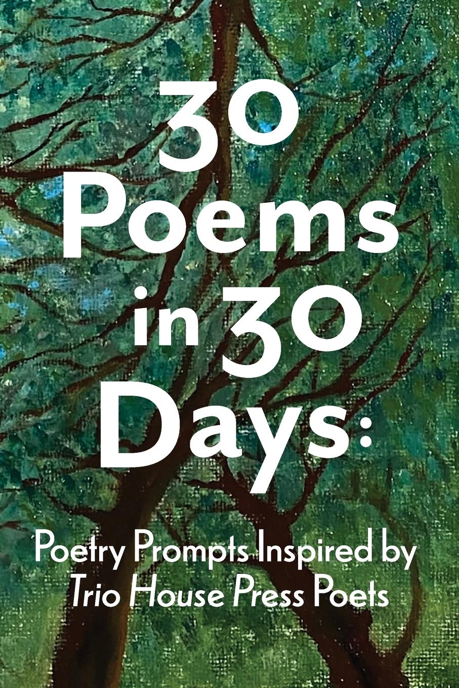 Vorderes Coverbild 30 Poems in 30 Days
