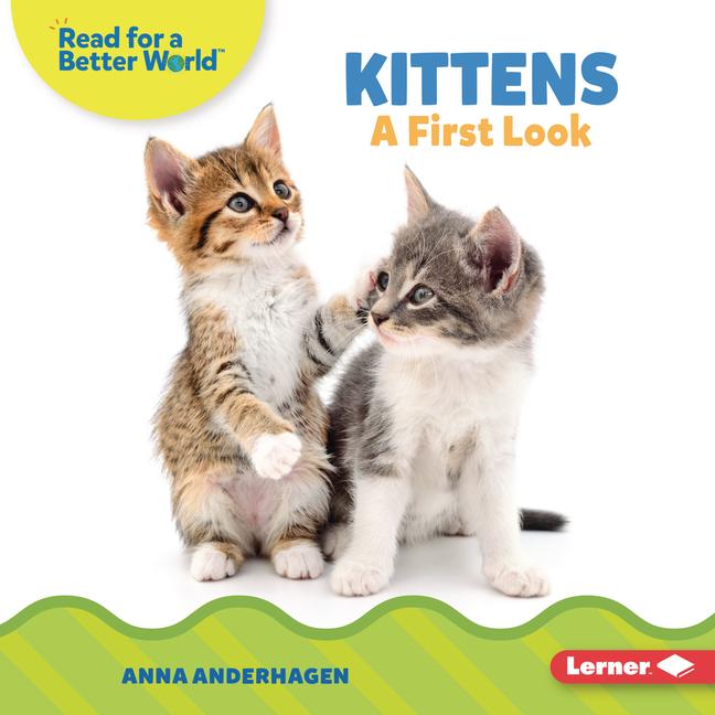 Vorderes Coverbild Kittens