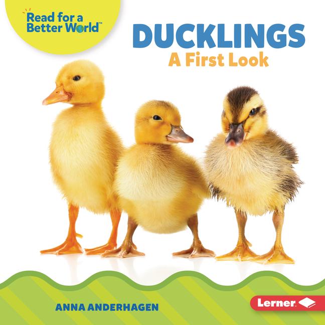 Vorderes Coverbild Ducklings