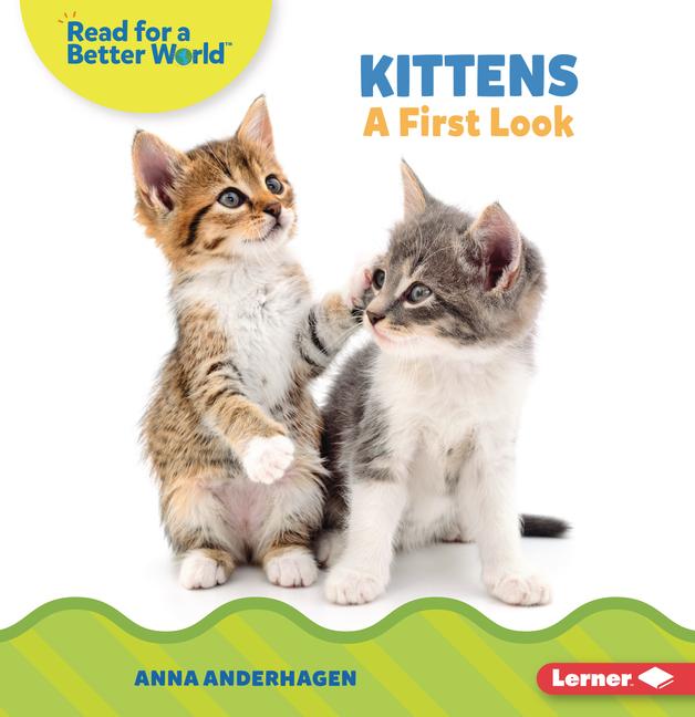 Vorderes Coverbild Kittens