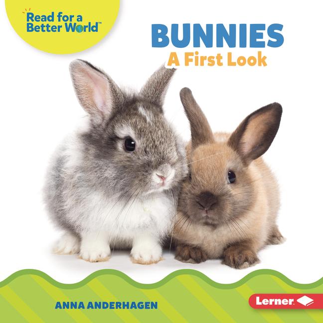 Vorderes Coverbild Bunnies