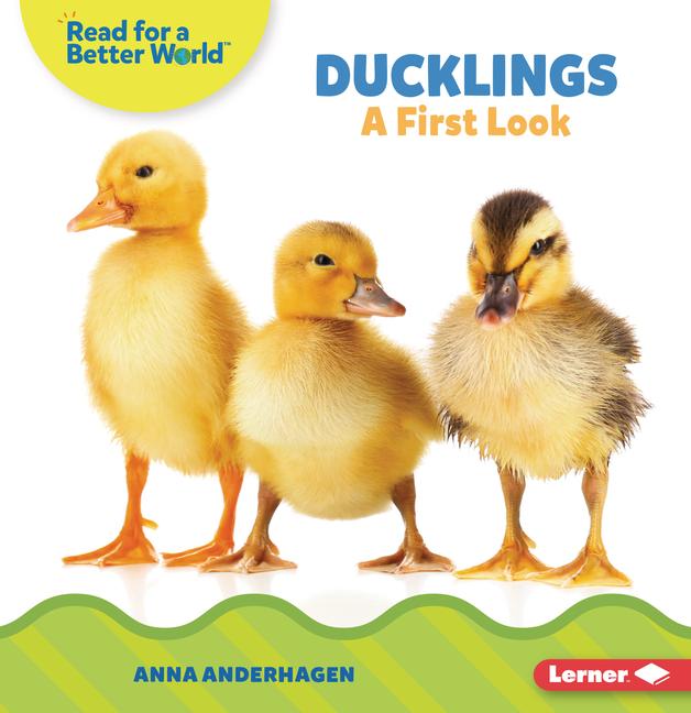 Vorderes Coverbild Ducklings