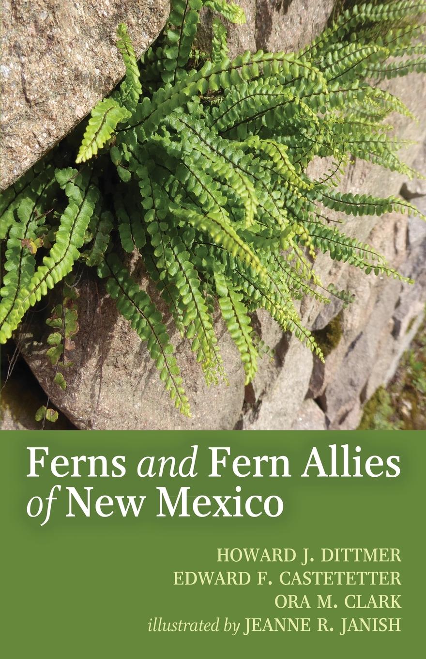Vorderes Coverbild The Ferns and Fern Allies of New Mexico