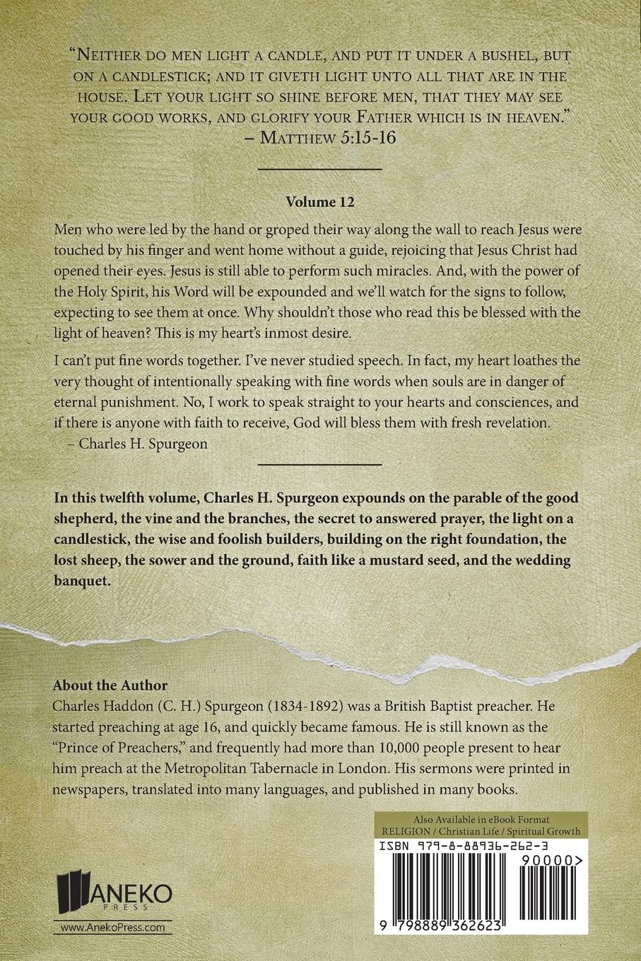 Rückseitencover Life in Christ Vol 12