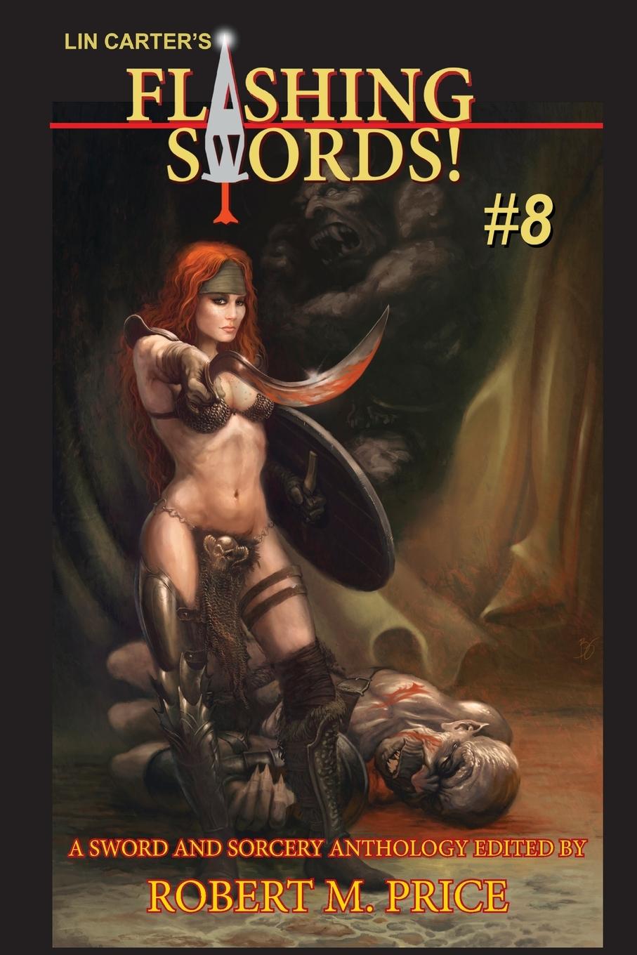 Vorderes Coverbild Flashing Swords #8