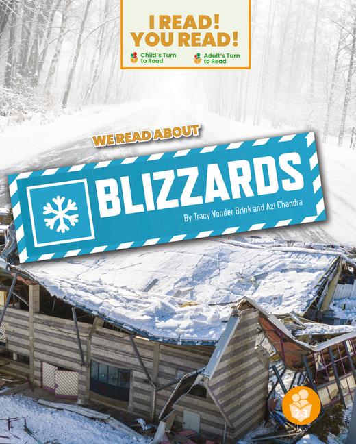 Vorderes Coverbild We Read about Blizzards