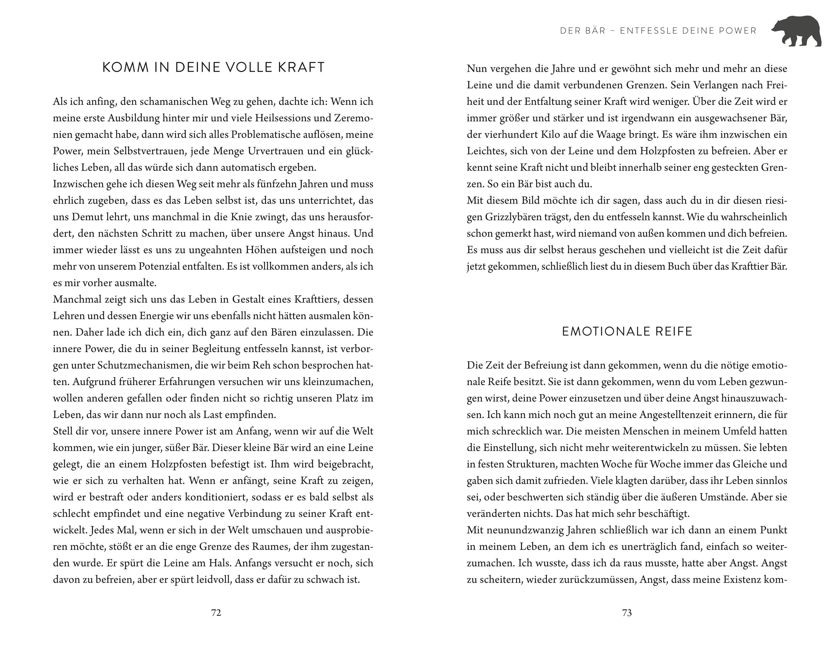 Beispielinhalt (Bild) Die Gaben der 4 Krafttiere