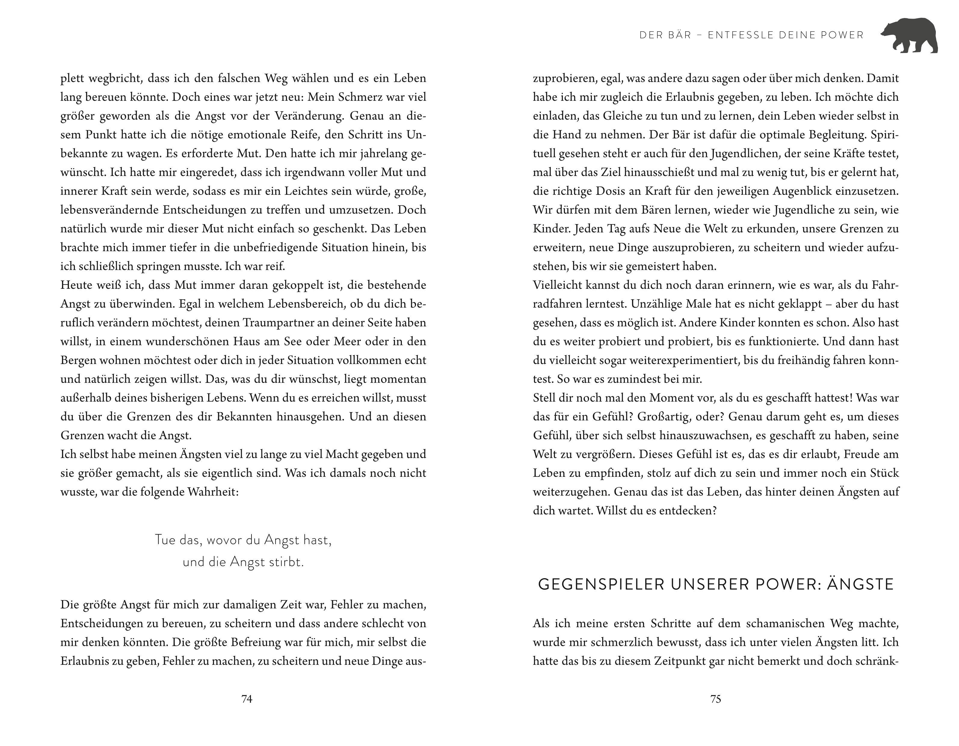 Beispielinhalt (Bild) Die Gaben der 4 Krafttiere