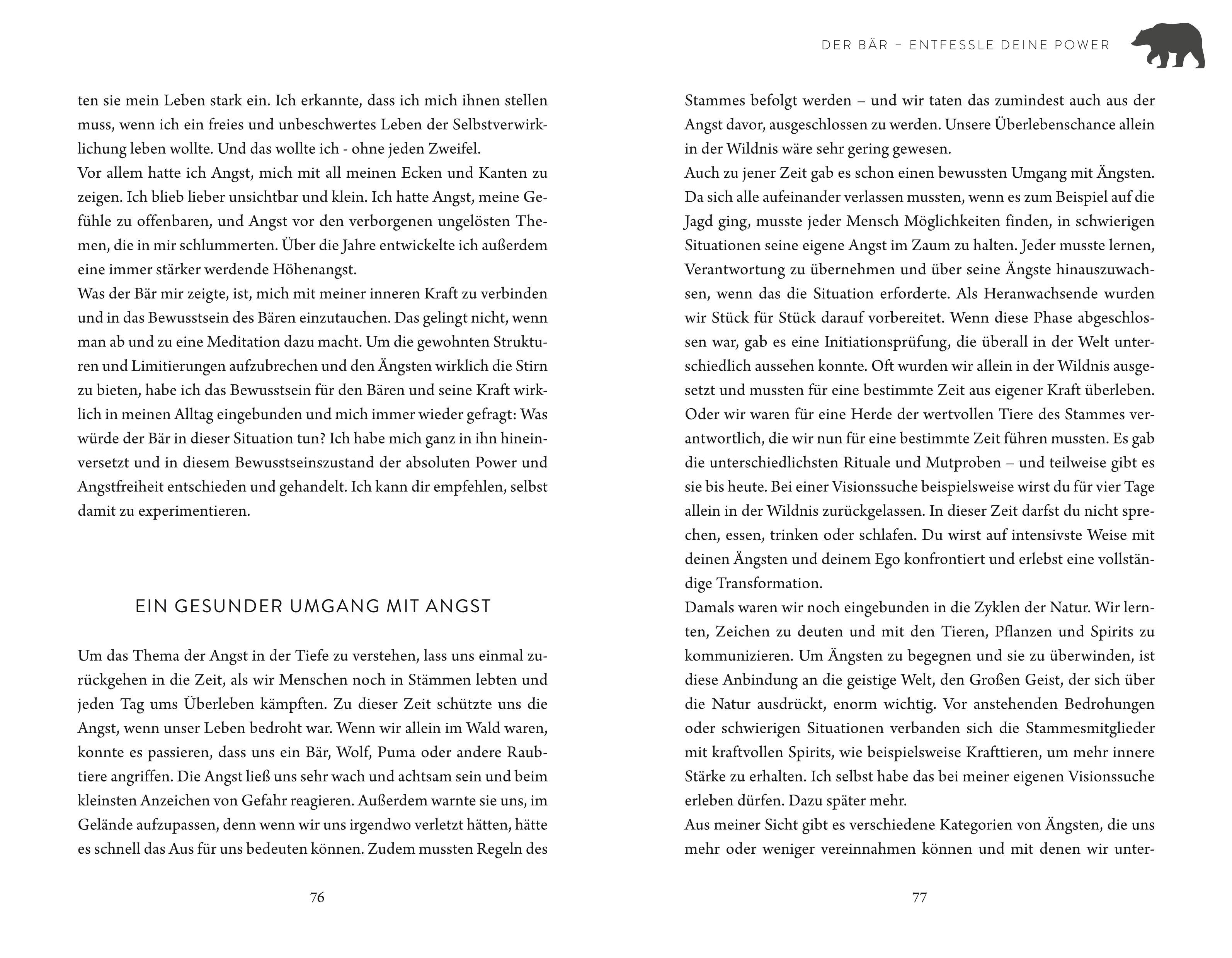 Beispielinhalt (Bild) Die Gaben der 4 Krafttiere