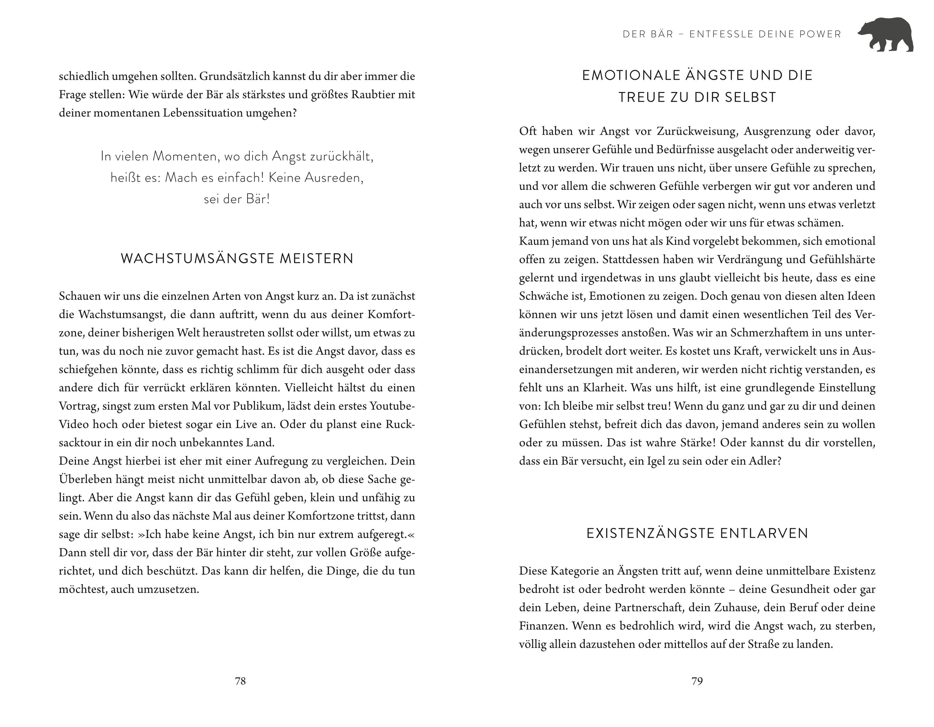 Beispielinhalt (Bild) Die Gaben der 4 Krafttiere