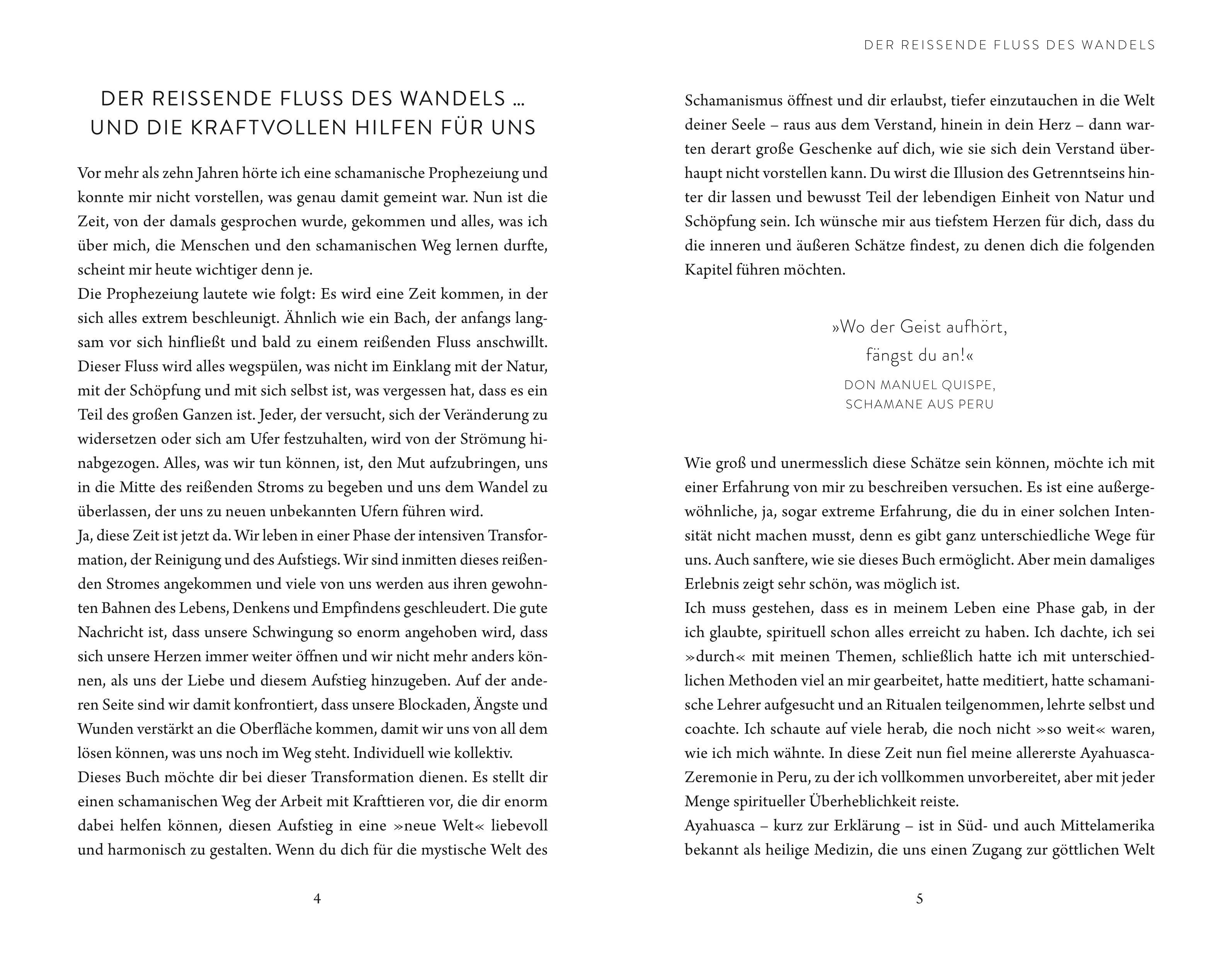 Beispielinhalt (Bild) Die Gaben der 4 Krafttiere