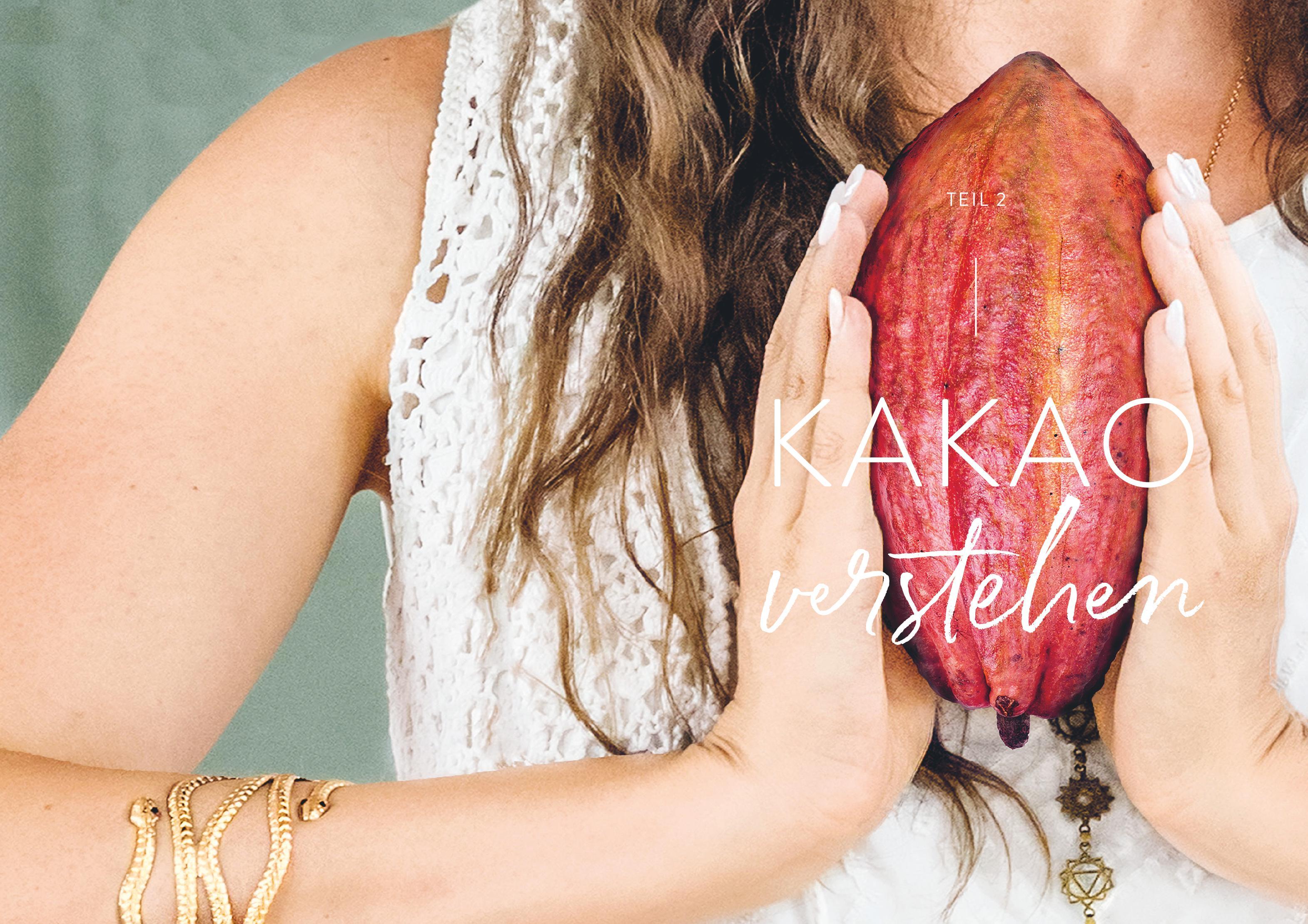 Beispielinhalt (Bild) Cacao Ritual