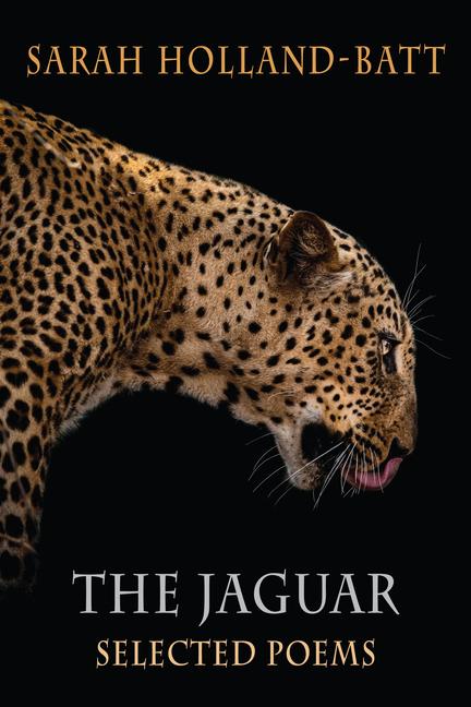Vorderes Coverbild The Jaguar
