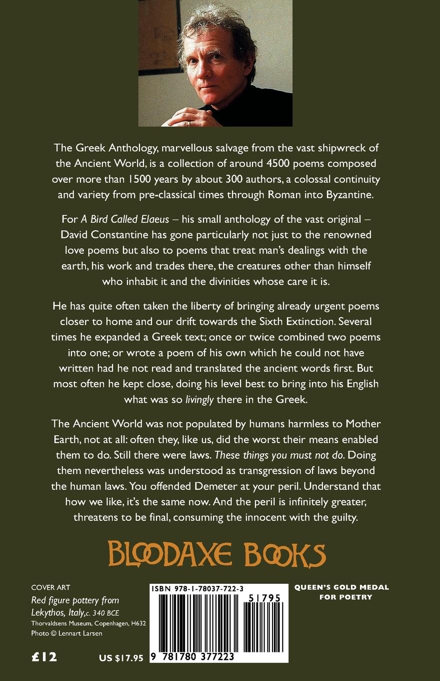 Rückseitencover Bird Called Elaeus